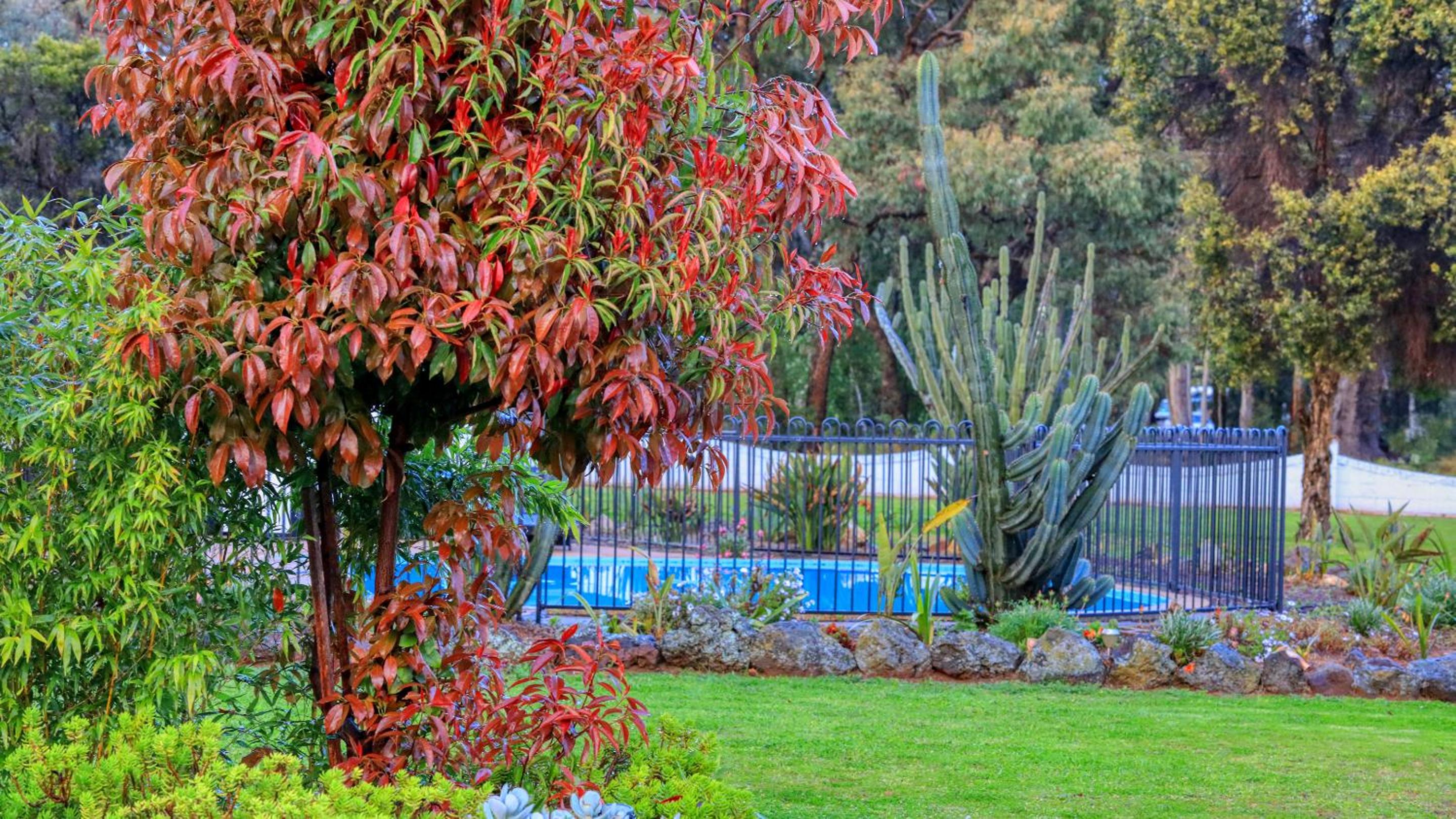 Azalea Motel
