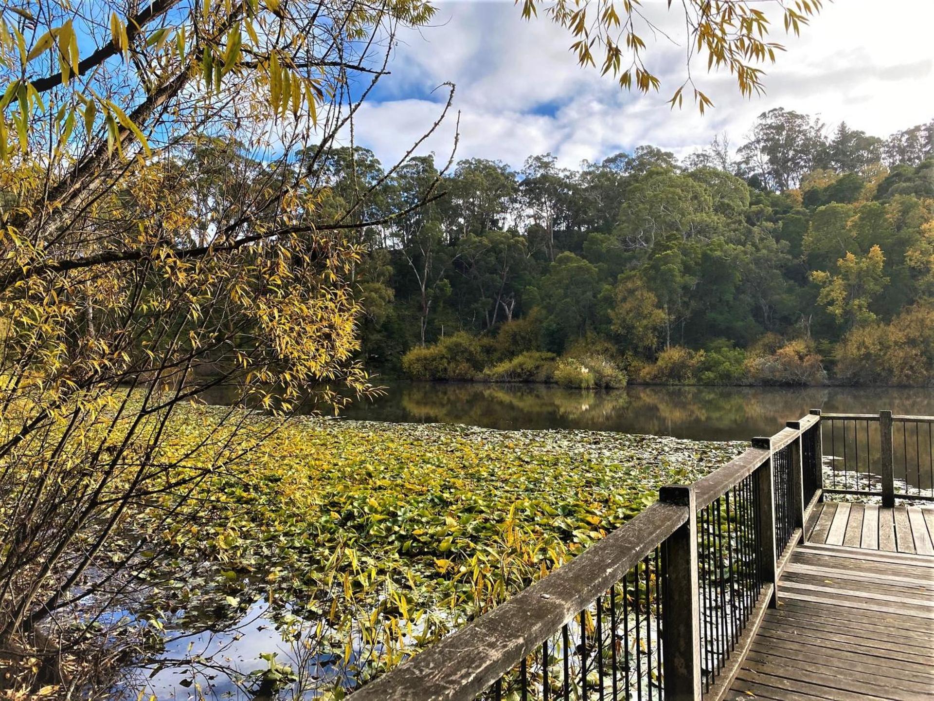 Daylesford House Studio- a cosy retreat