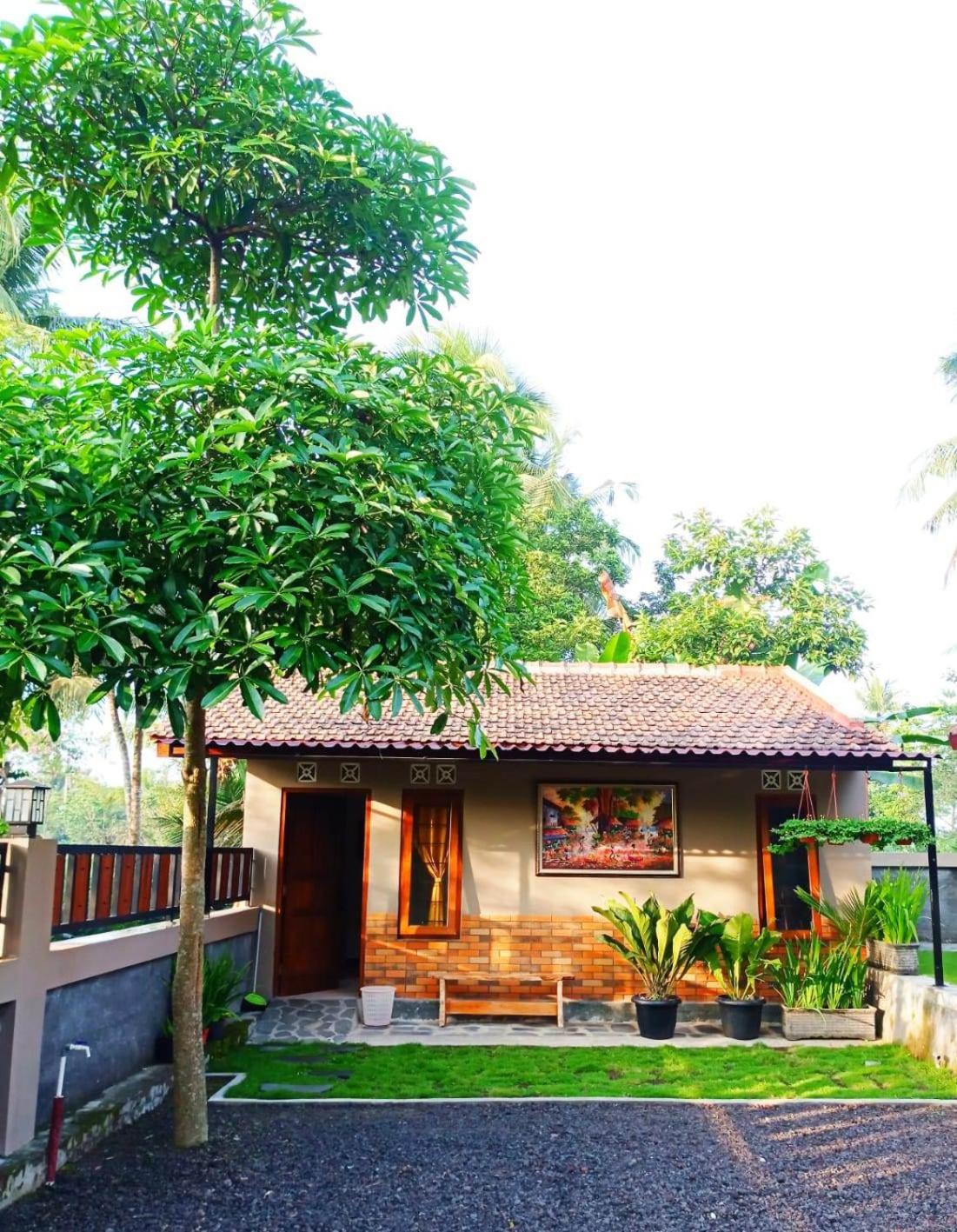 Angler Homestay & Joglo view 4
