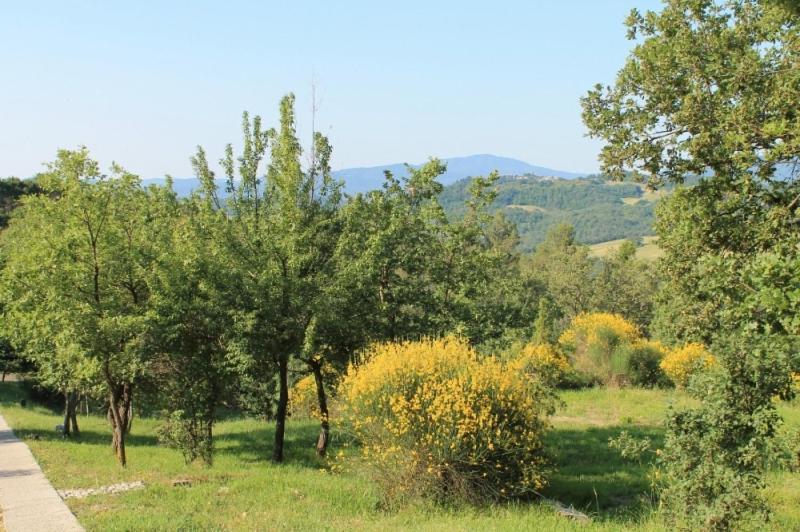 Agriturismo Podere Costarella