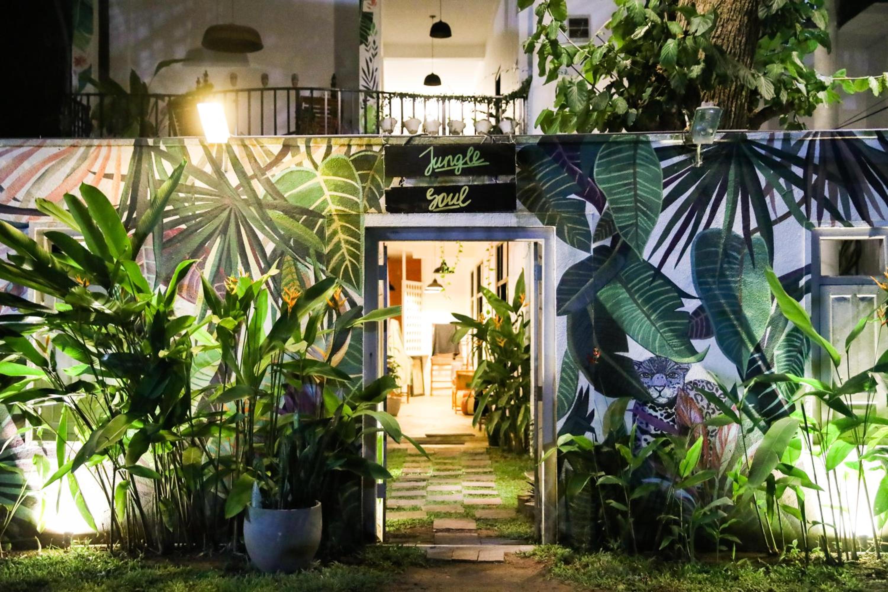 Jungle Soul view 3