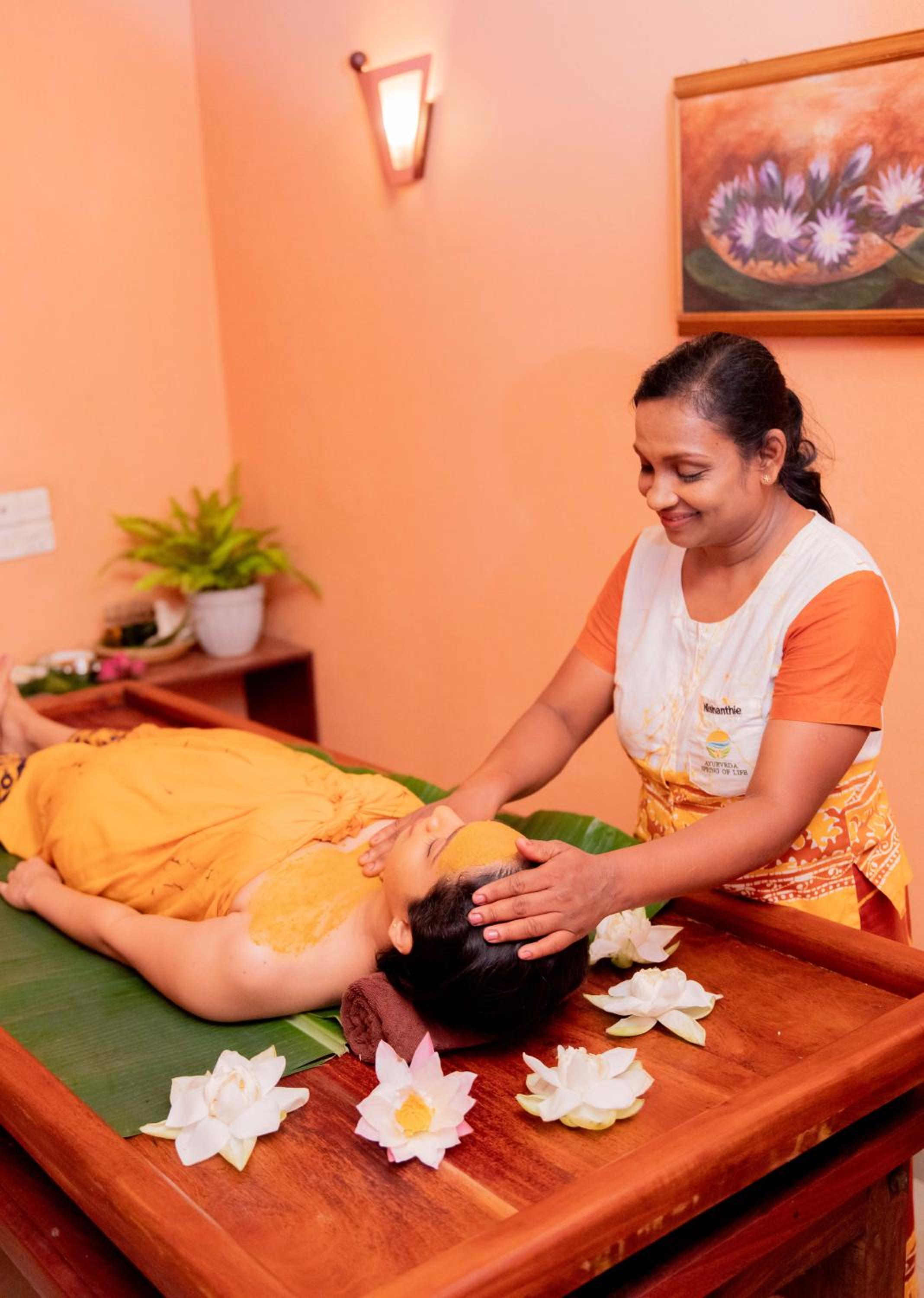 Ayurveda Spring of Life view 3