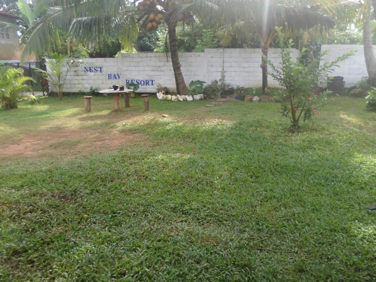 Photo 15