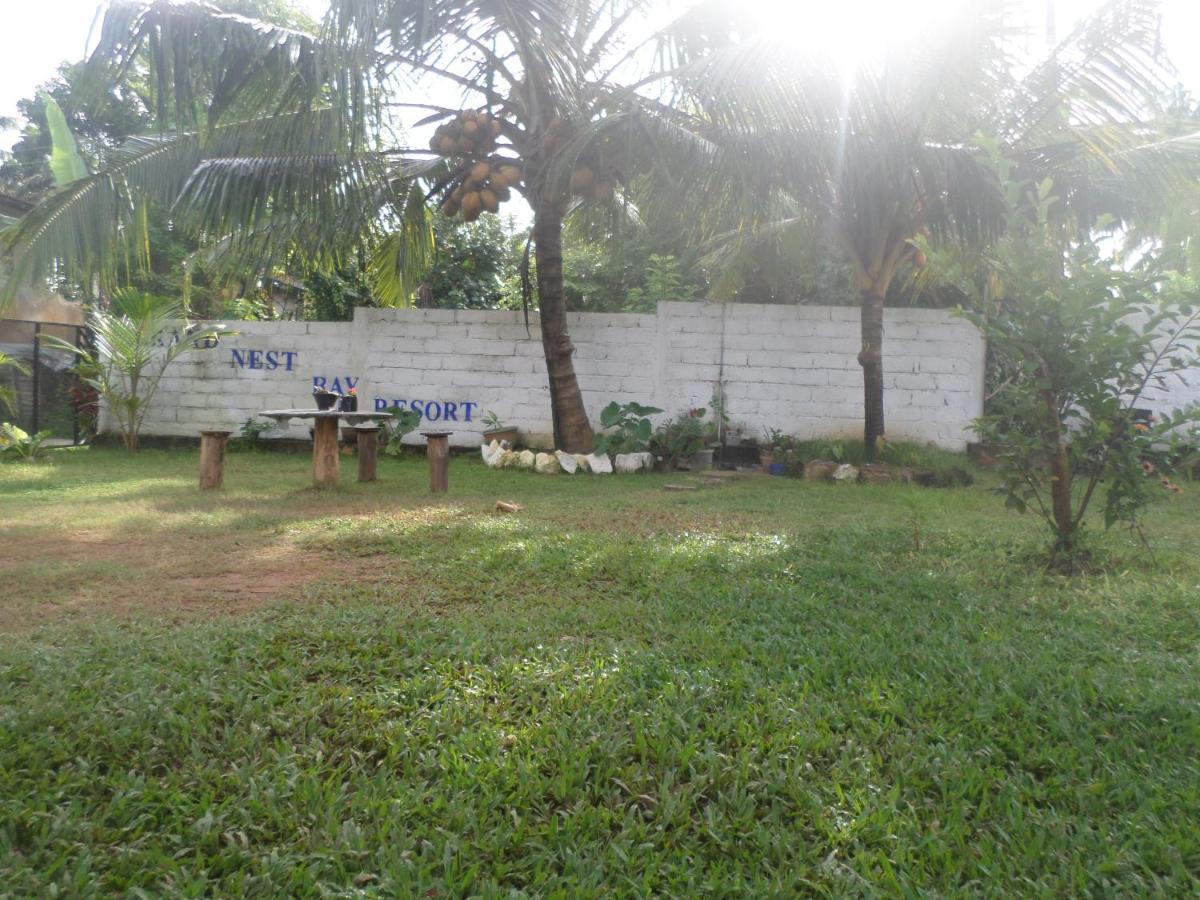 Photo 17