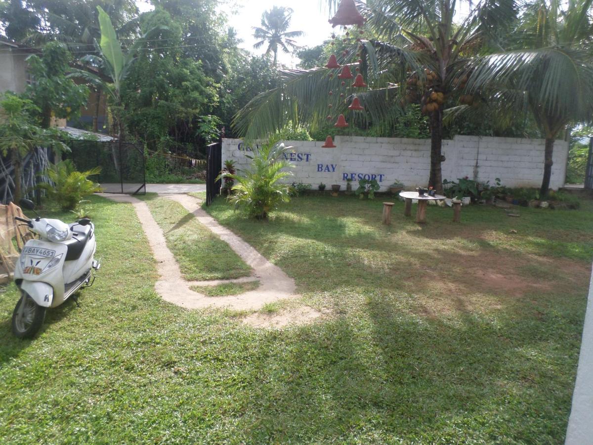 Photo 16