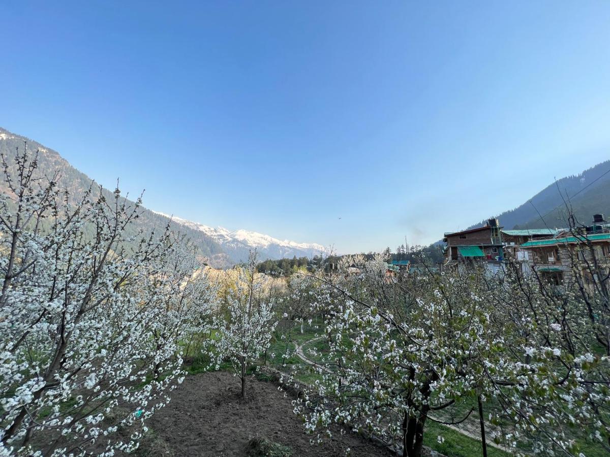 YOLO Backpackers MAX - Manali view 2