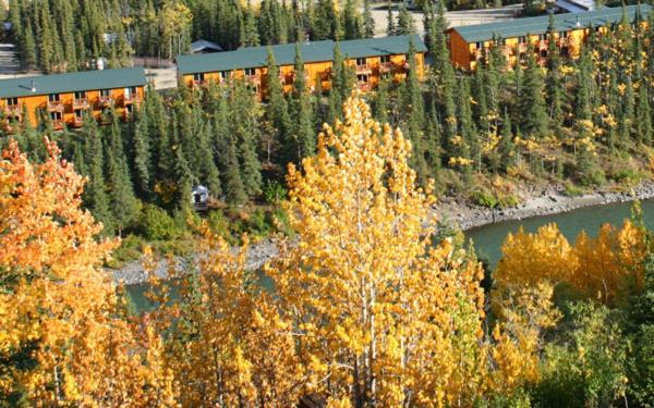 Denali Grizzly Bear Resort