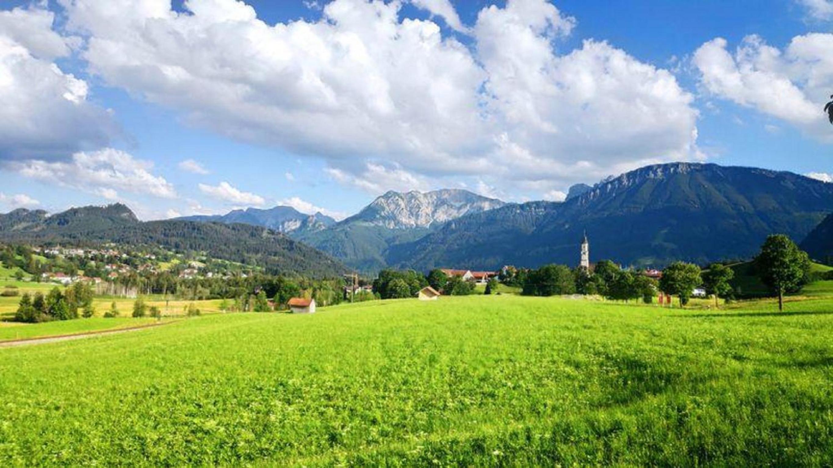 FEWO Blick Falkenstein