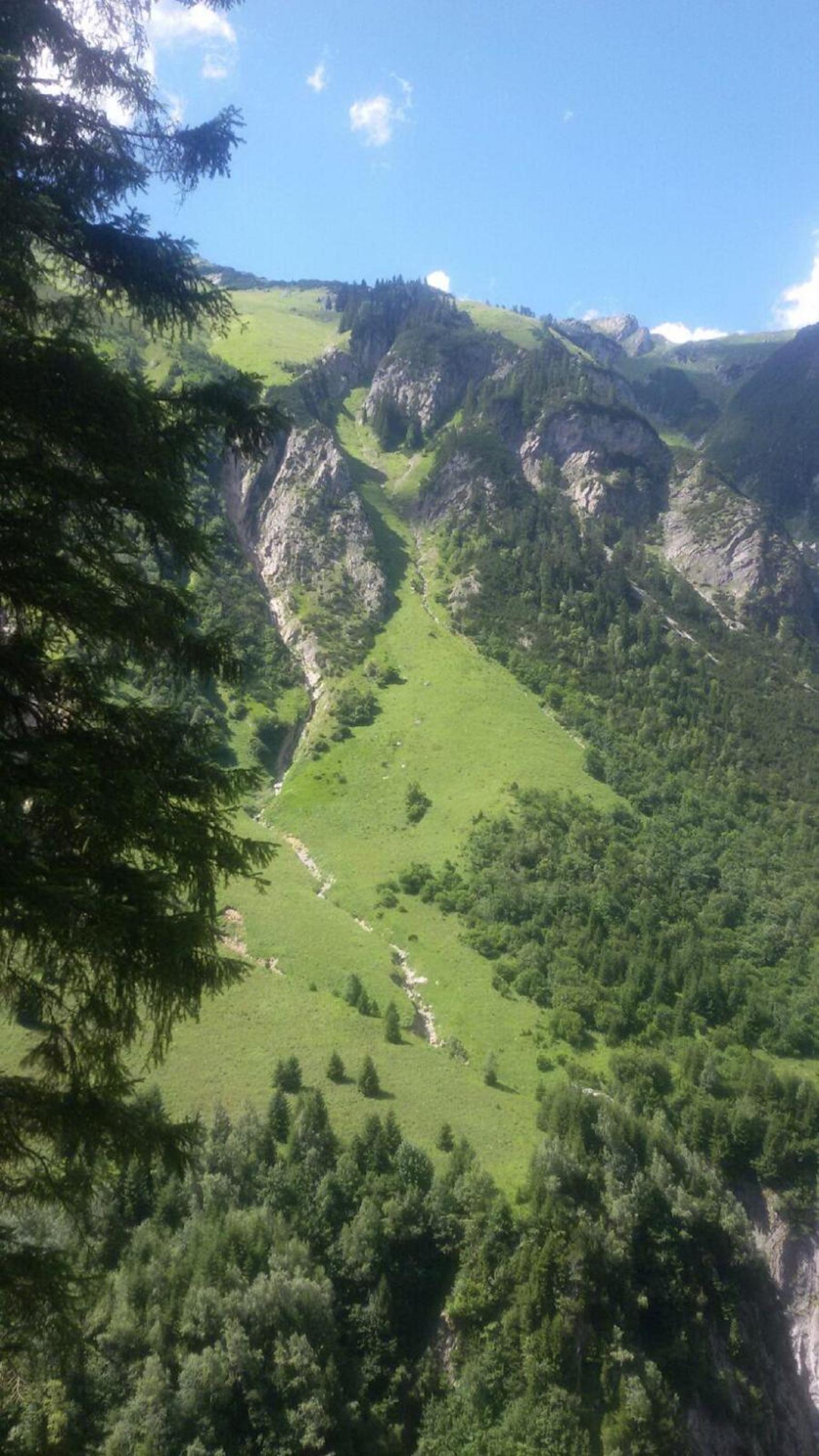 FEWO Blick Falkenstein