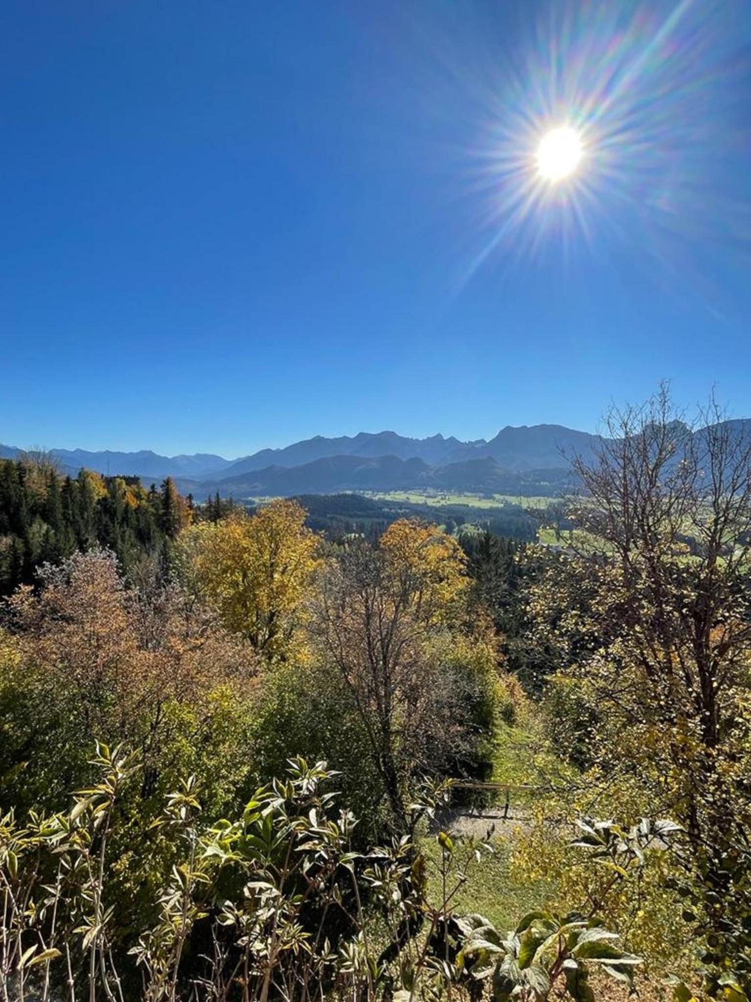 FEWO Blick Falkenstein