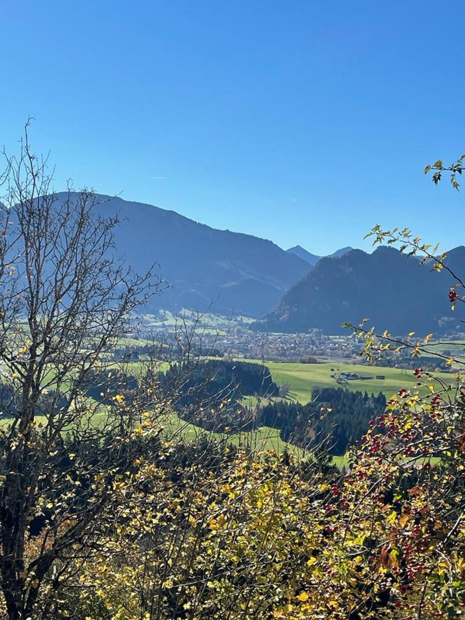 FEWO Blick Falkenstein