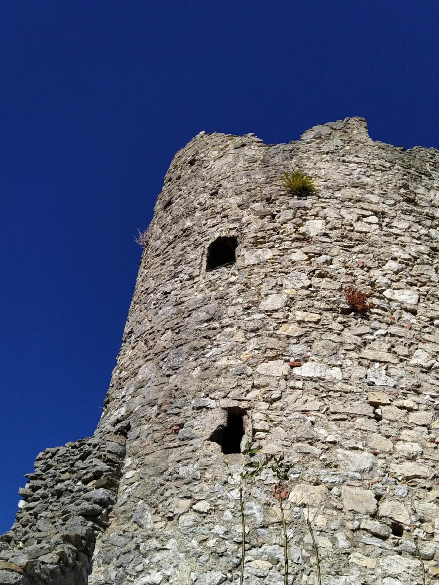 FEWO Blick Falkenstein