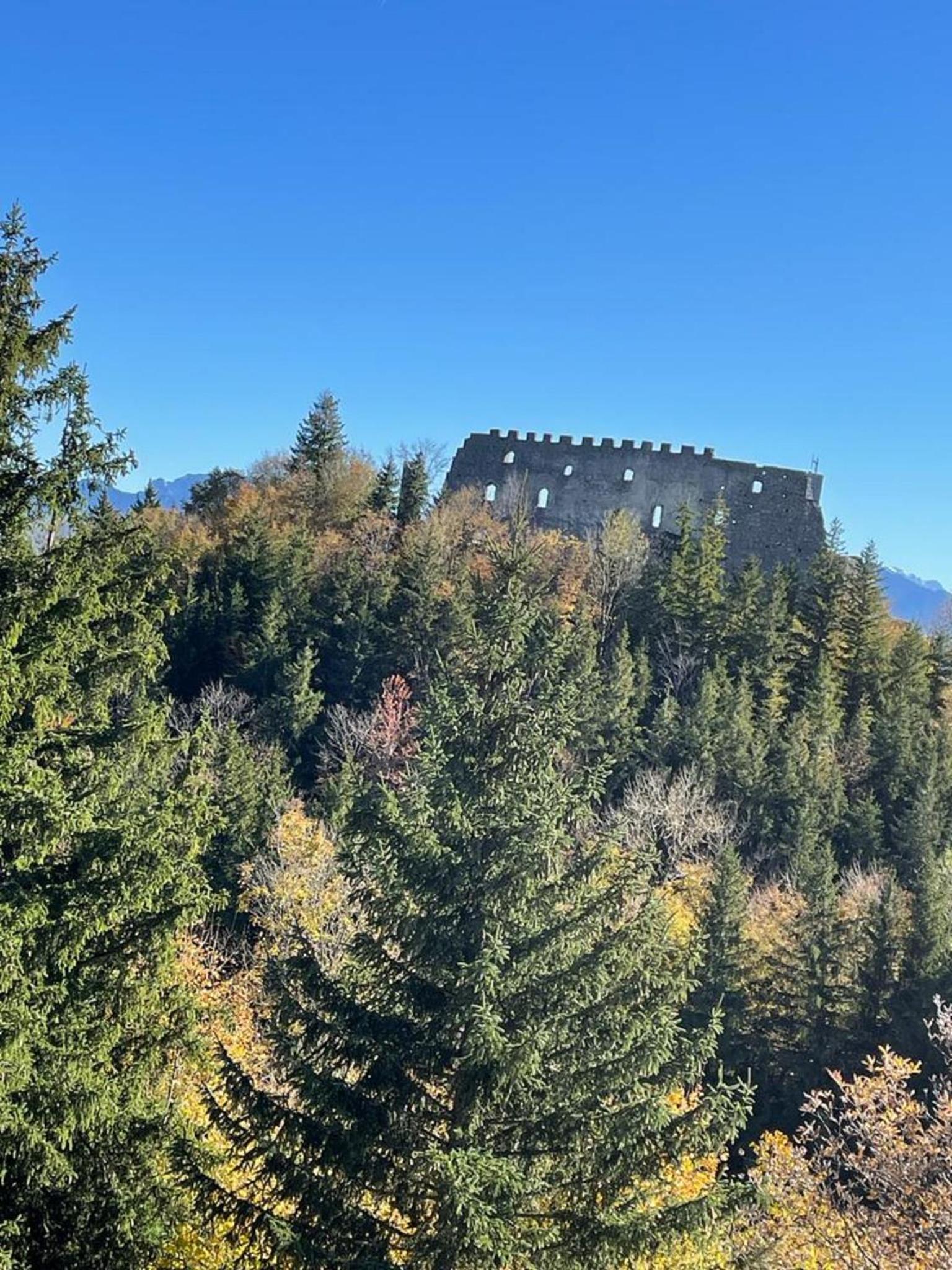 FEWO Blick Falkenstein