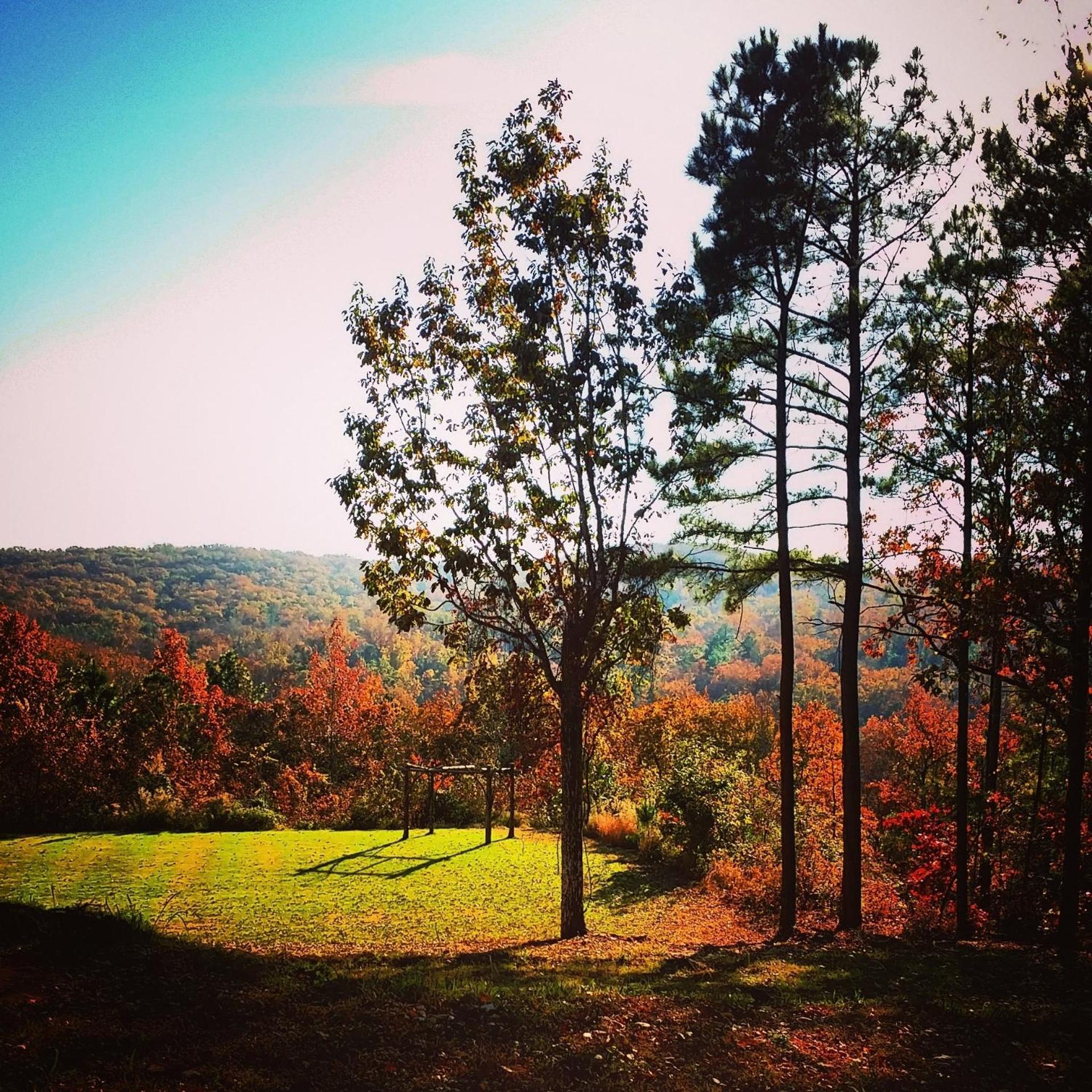 Mountain Top Inn and Resort