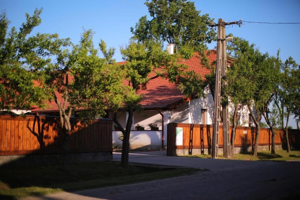Photo 49