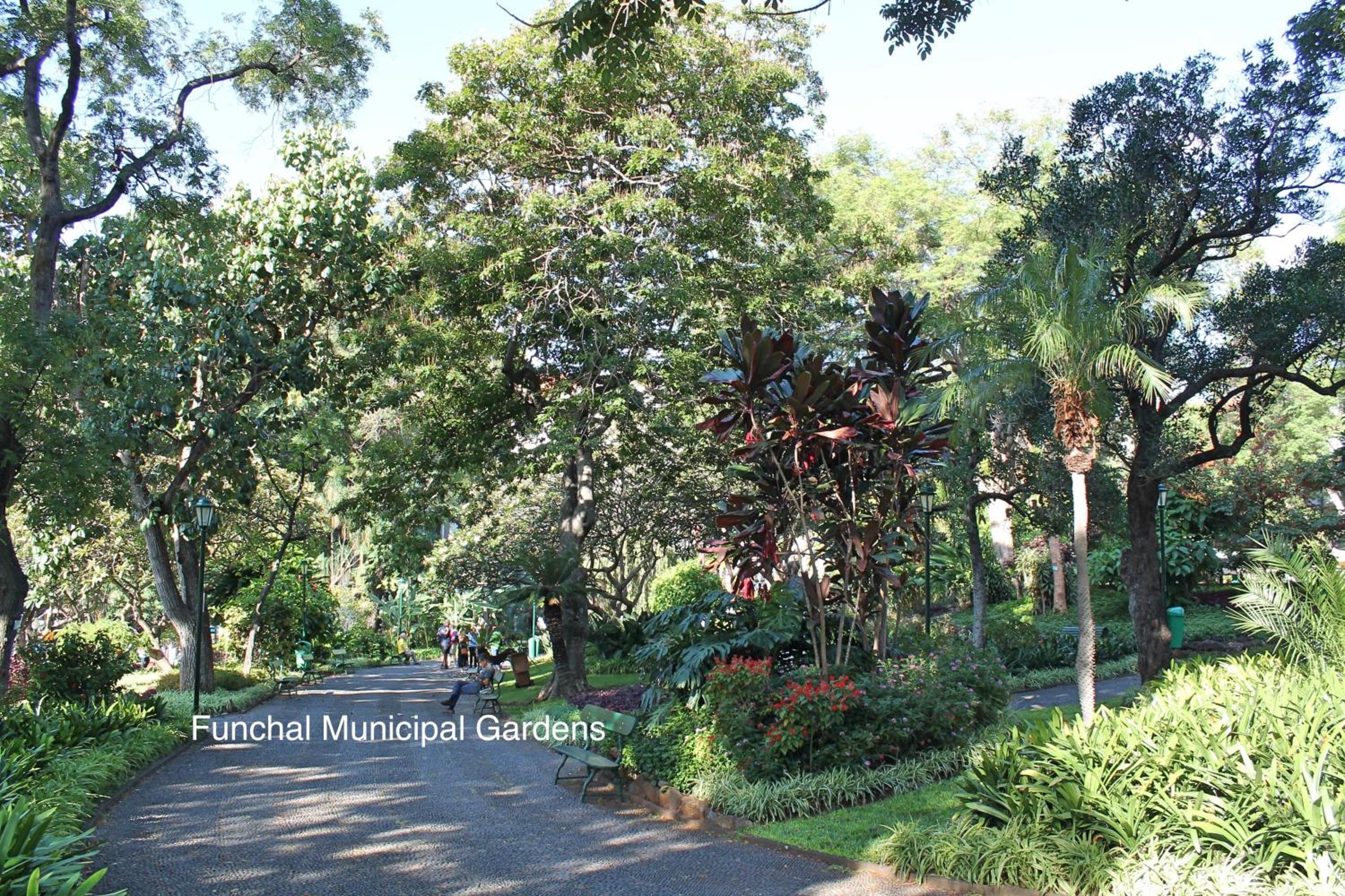 OurMadeira - Chill Garden Apartment