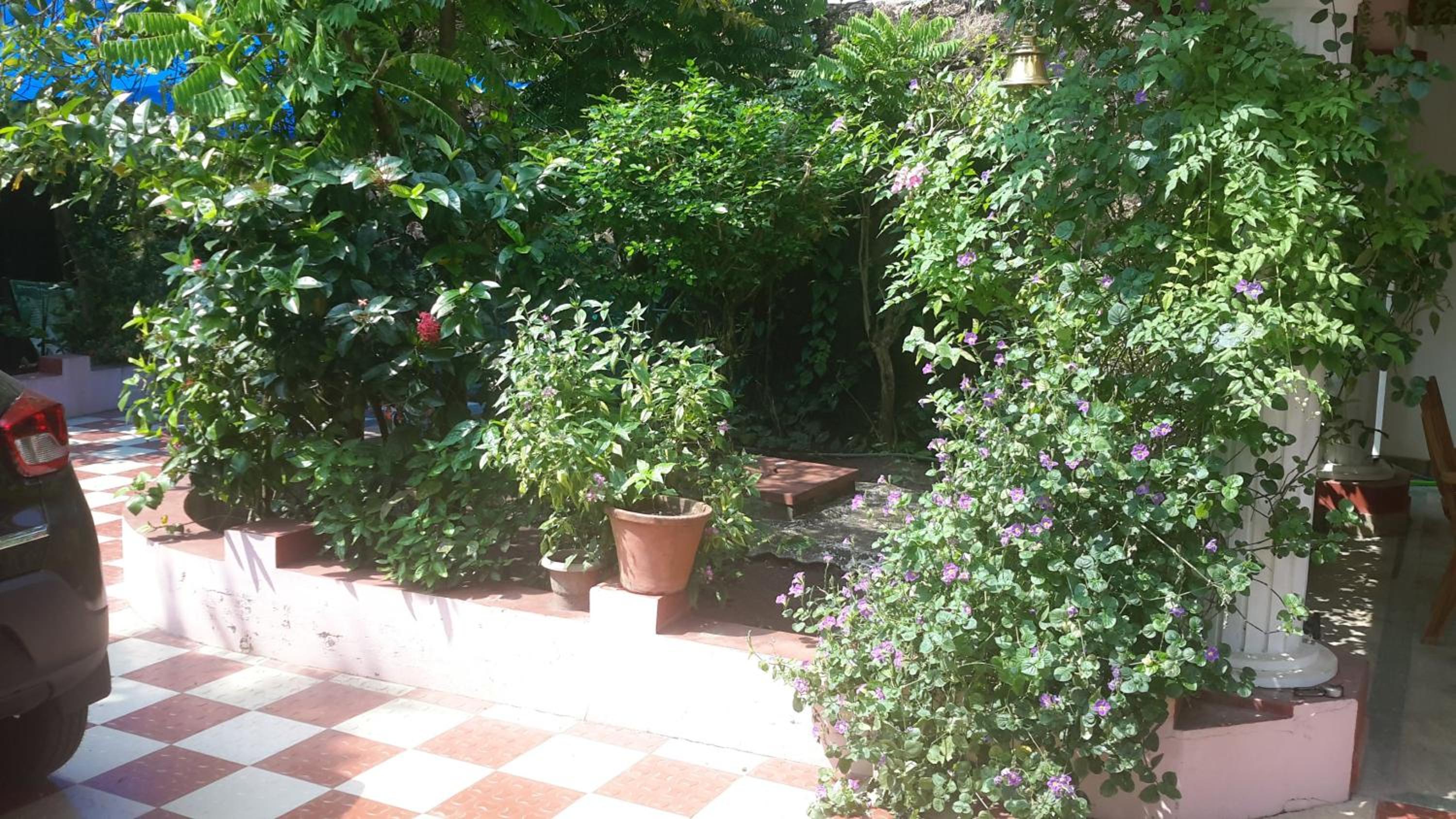 Sithara Homestay Fort Cochin view 4