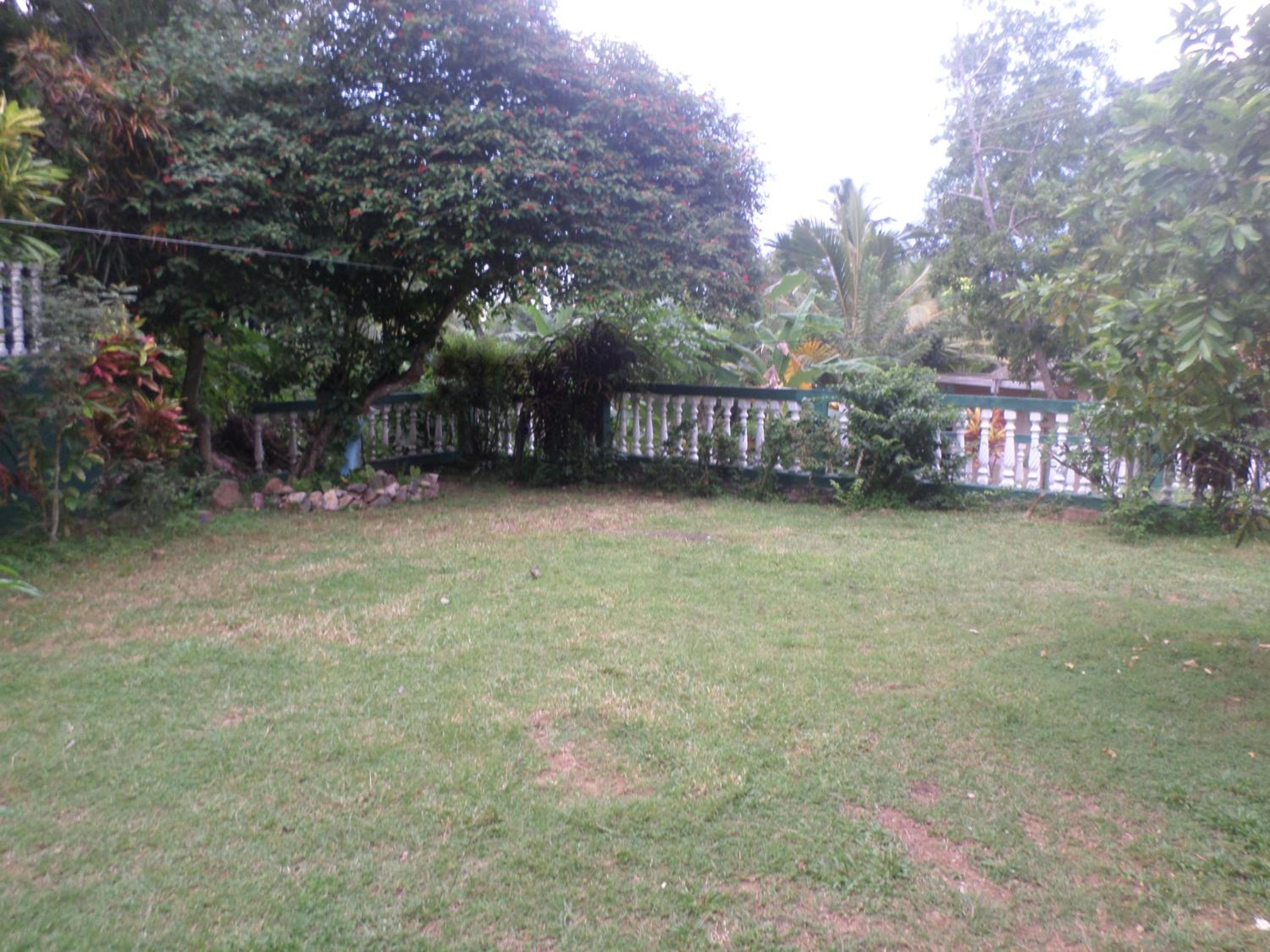 Photo 51