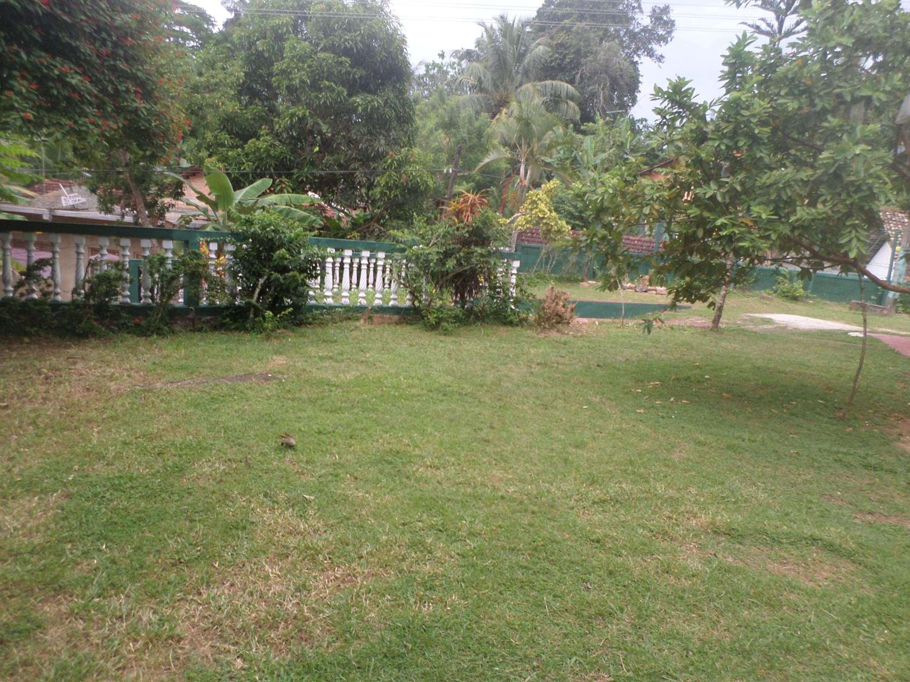 Photo 52