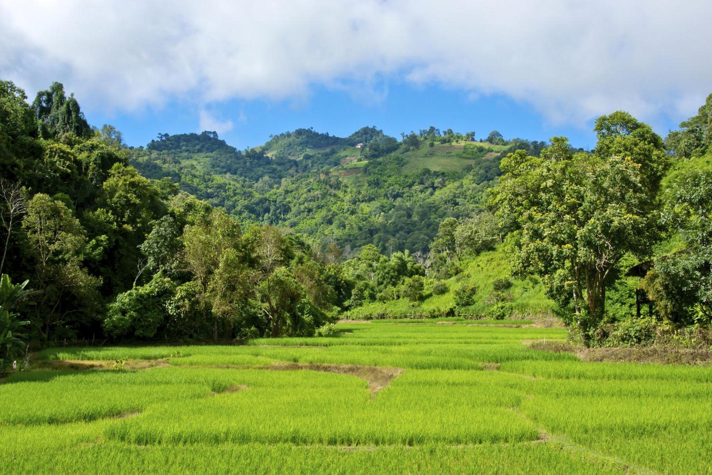 Hmong Hilltribe Lodge