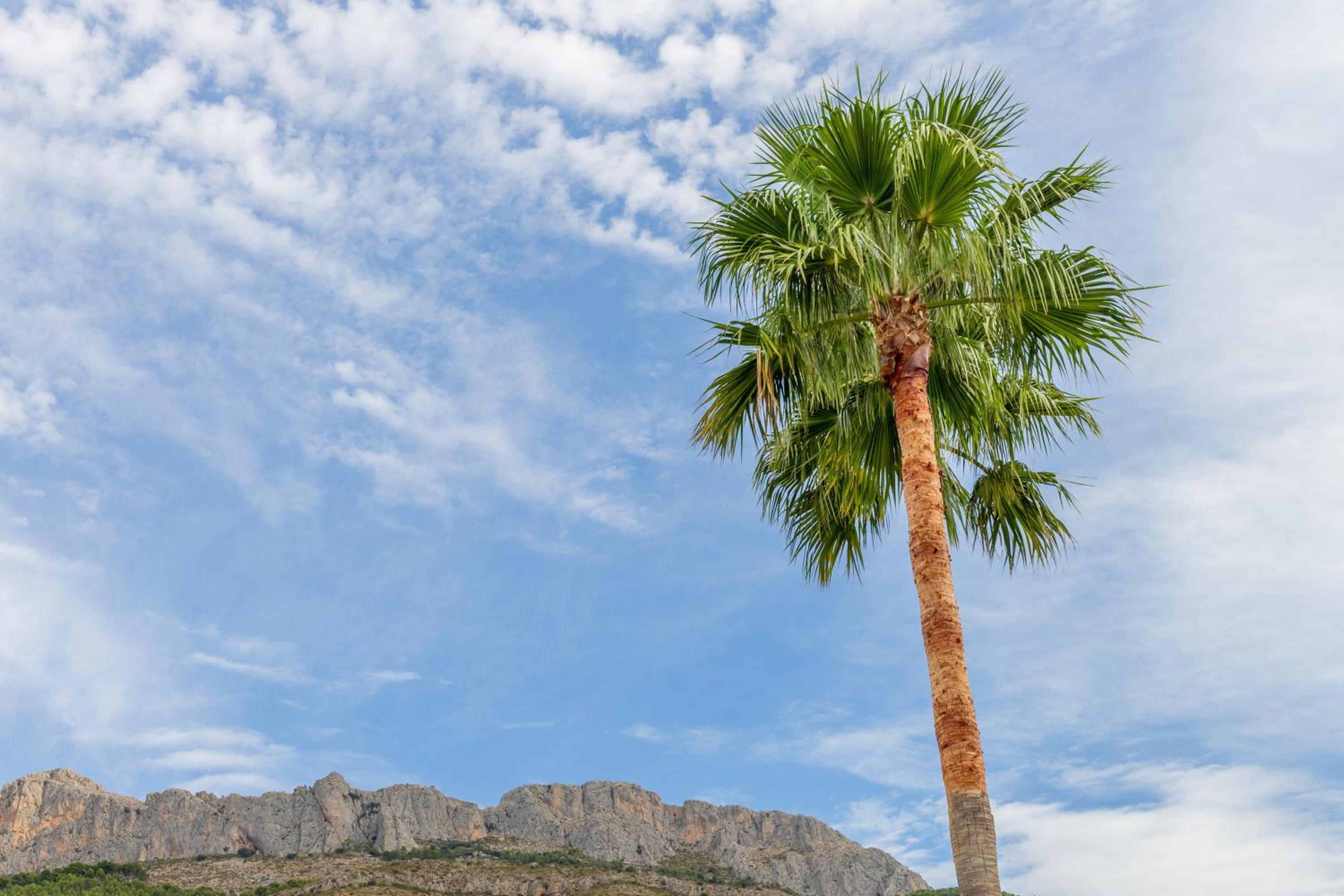 Altea La Nova