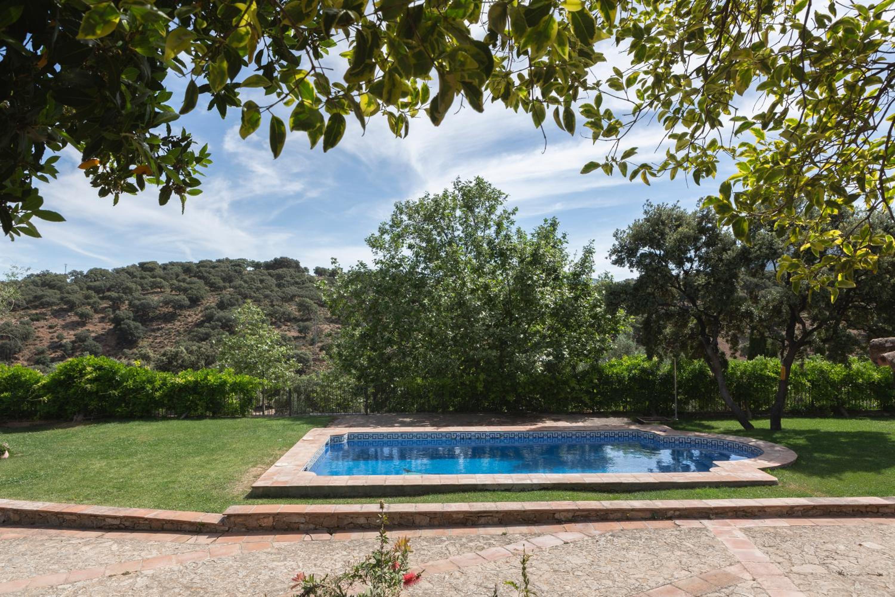 El recreo de Martalia view 3