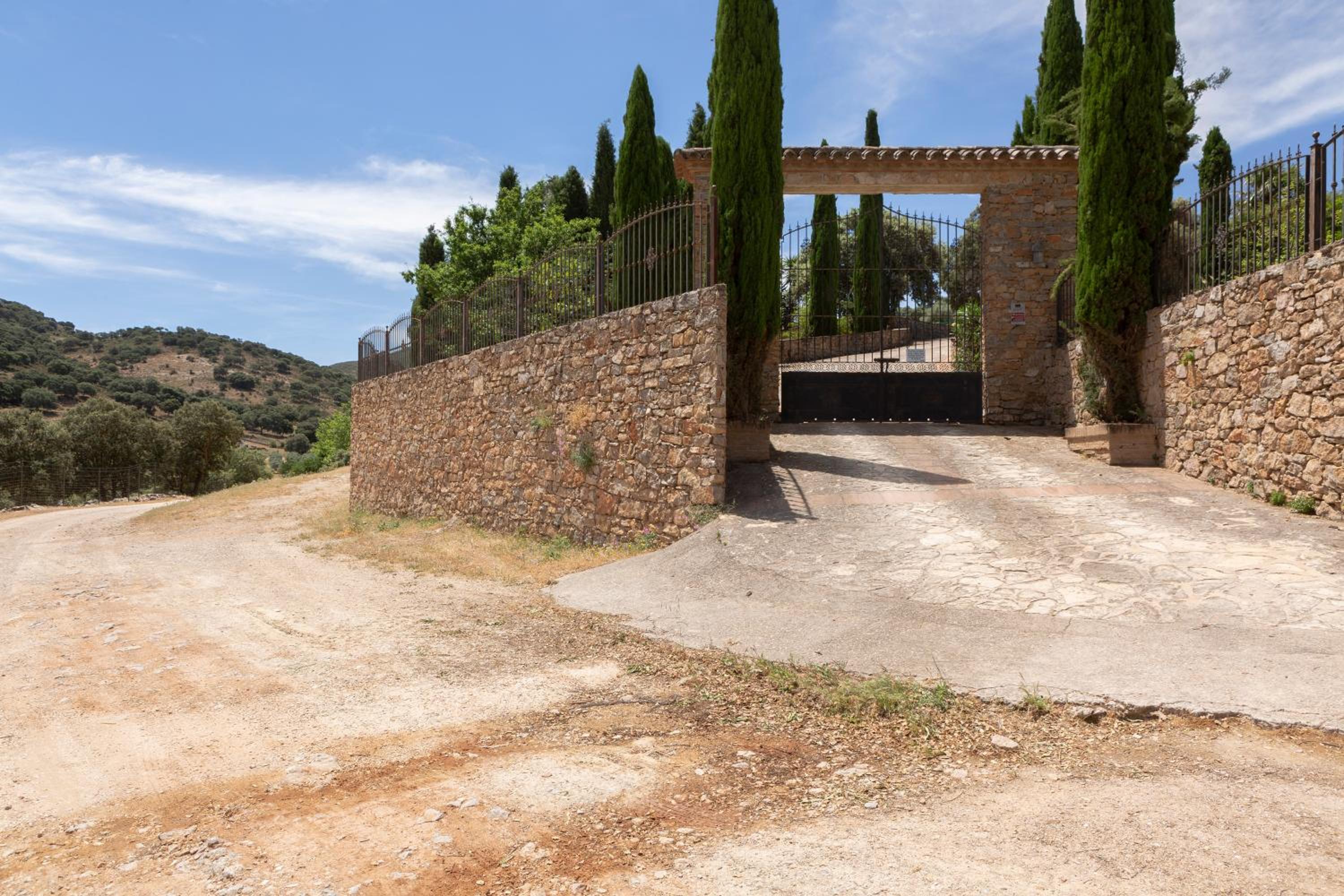 Photo 8