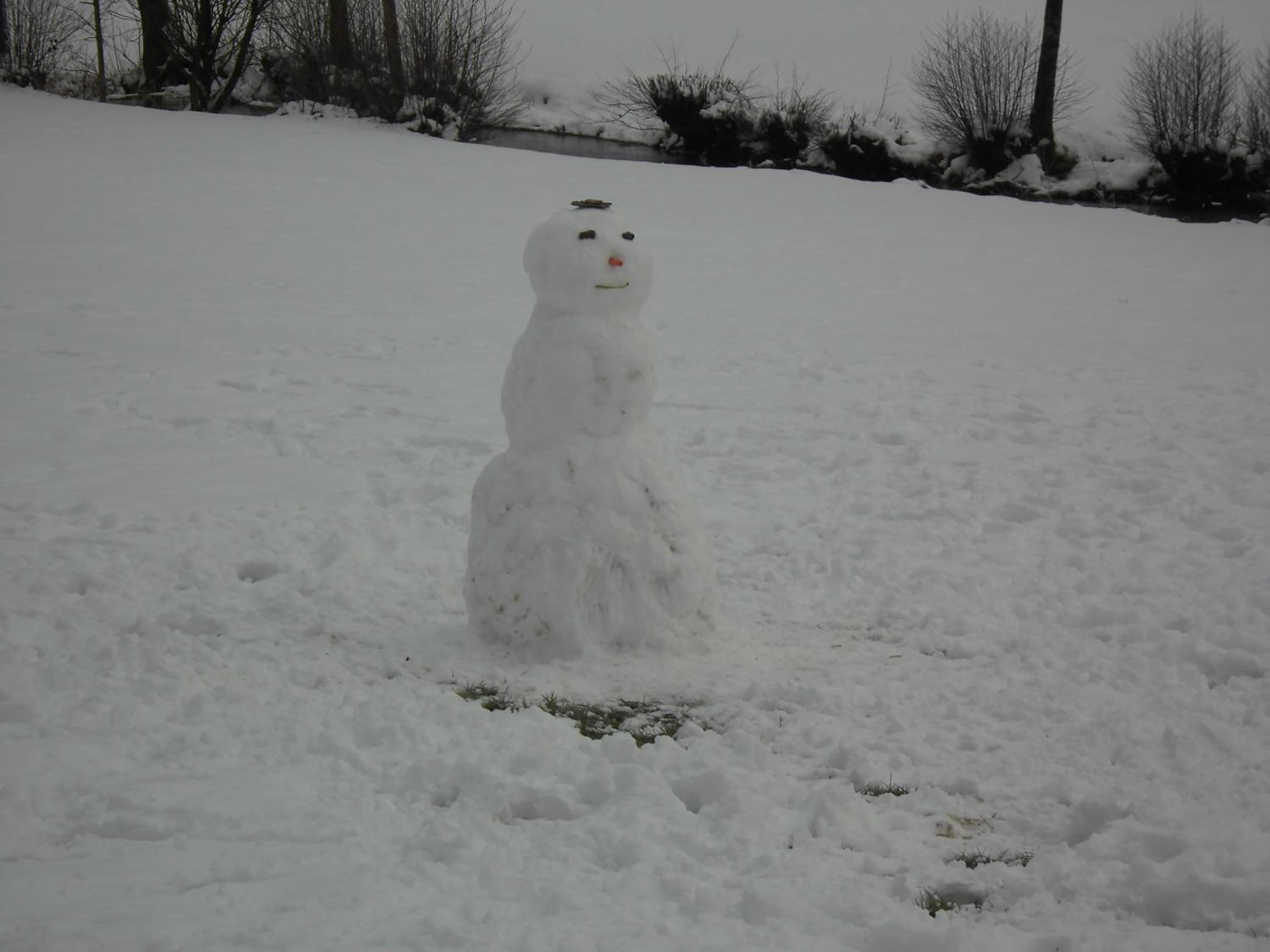 Photo 44