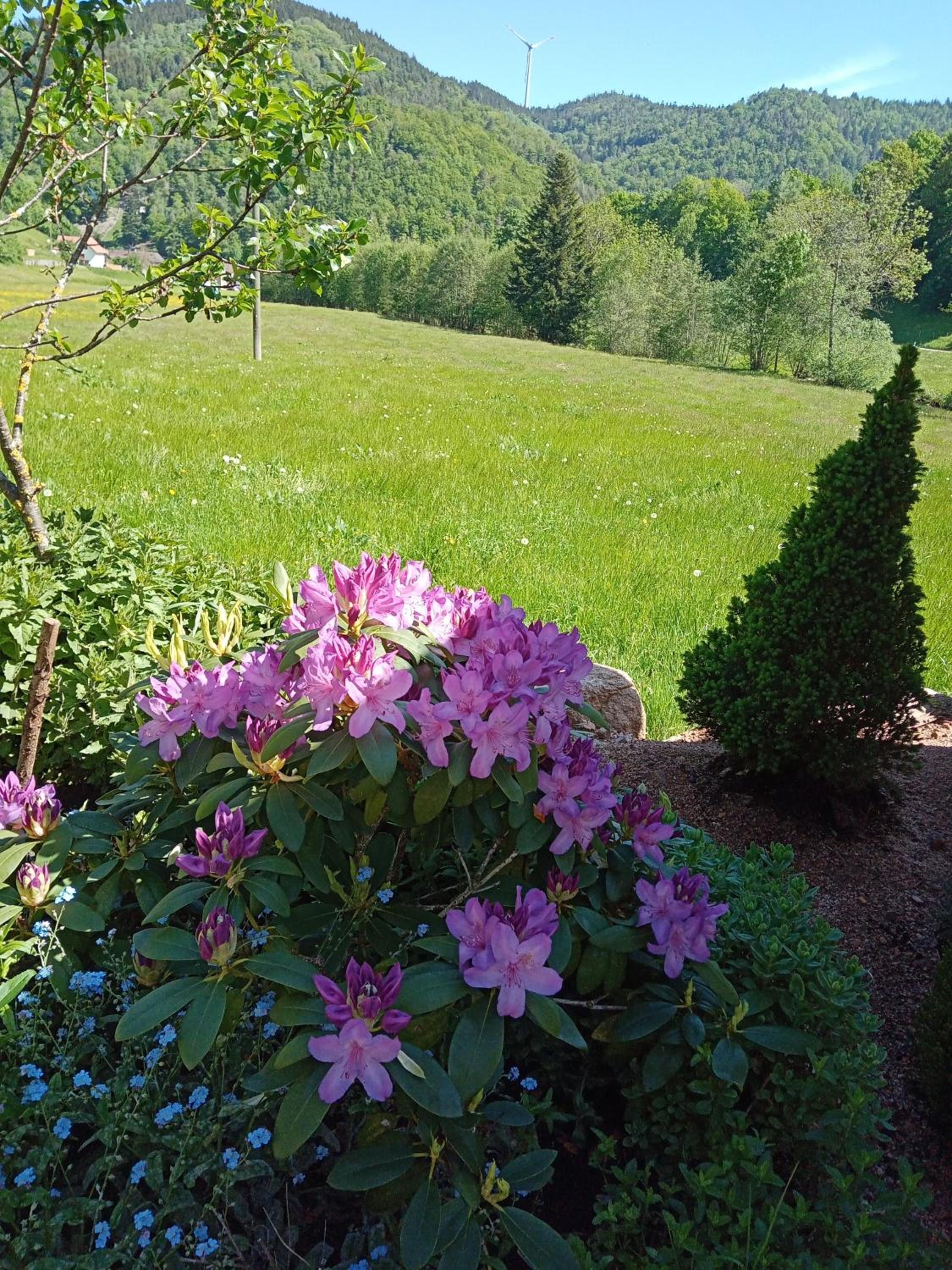 Urlaub auf dem Hänslehof view 3