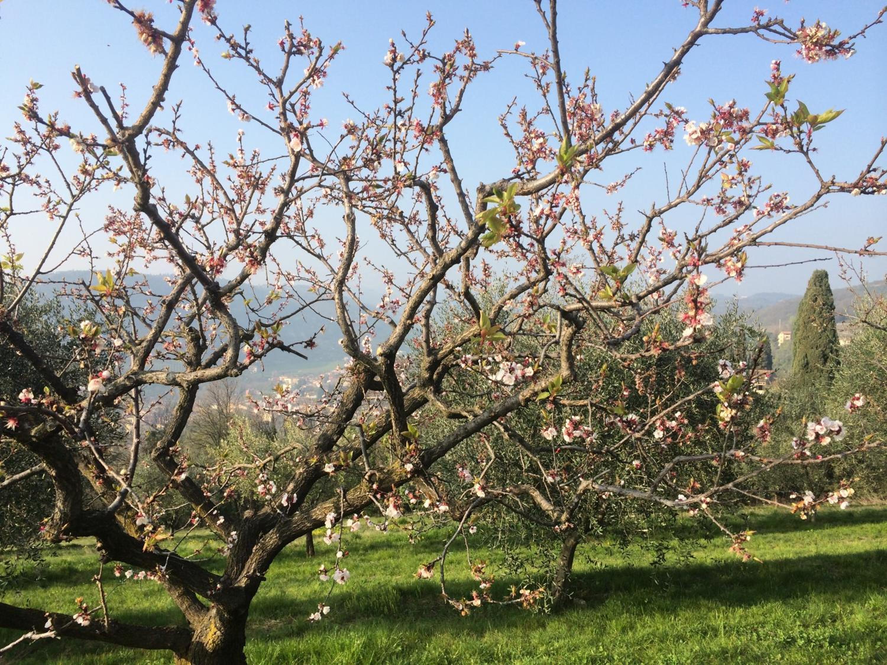 Agriturismo Il Pianetto