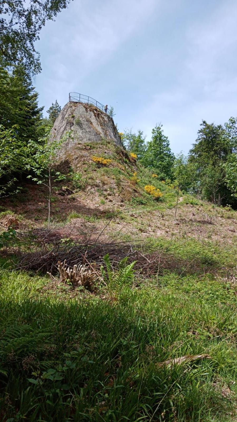Urlaub auf dem Hänslehof view 4