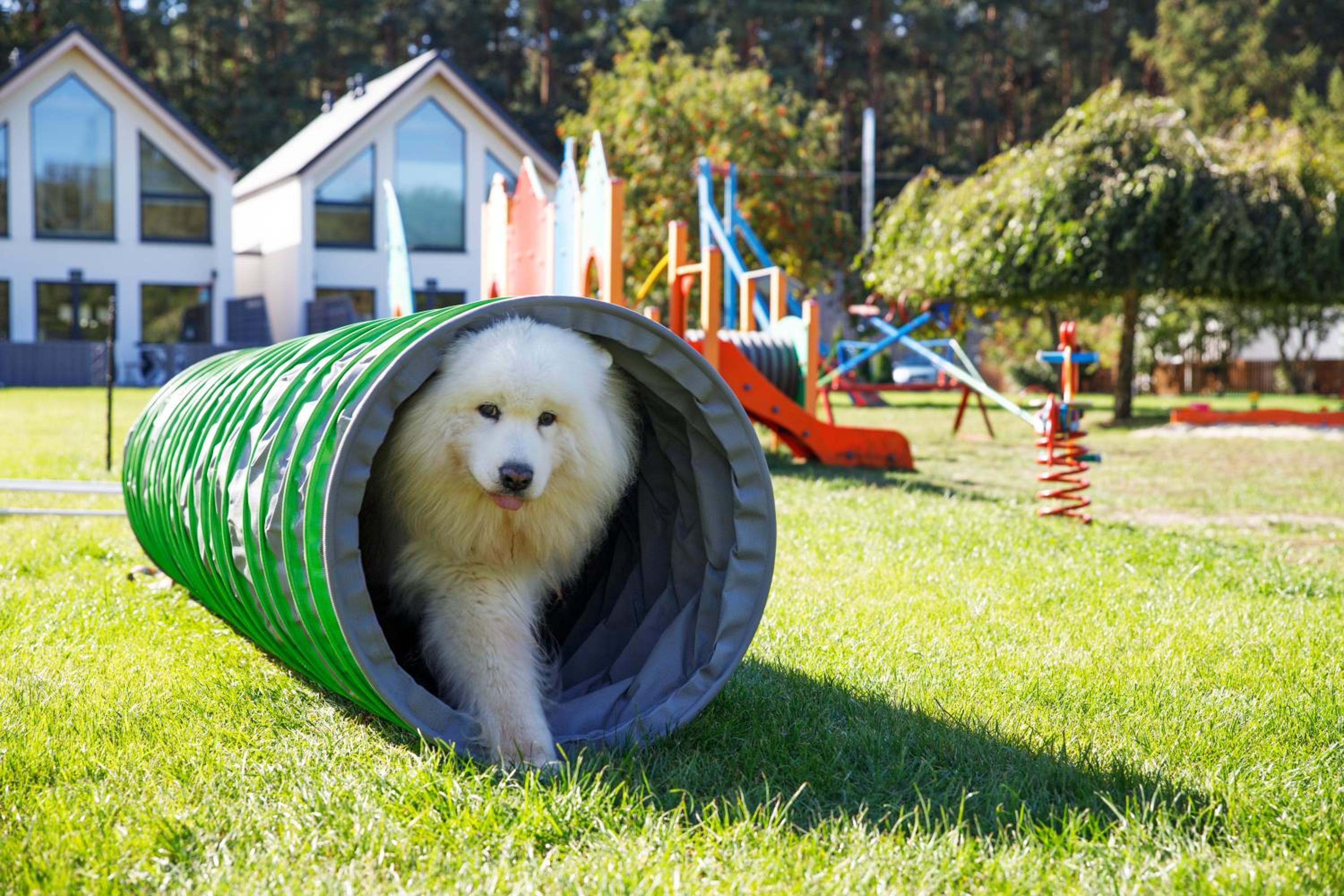 Domy Morskie Dog Friendly