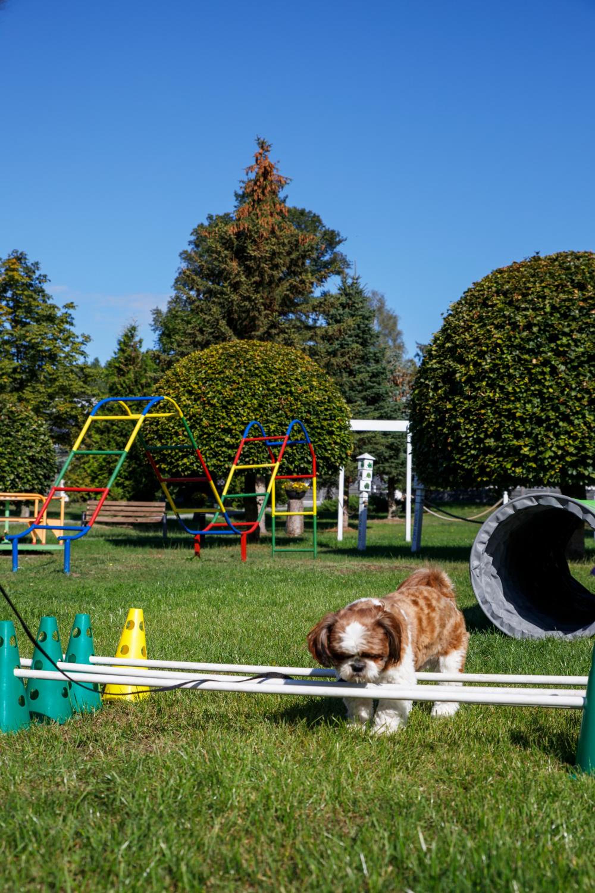 Domy Morskie Dog Friendly