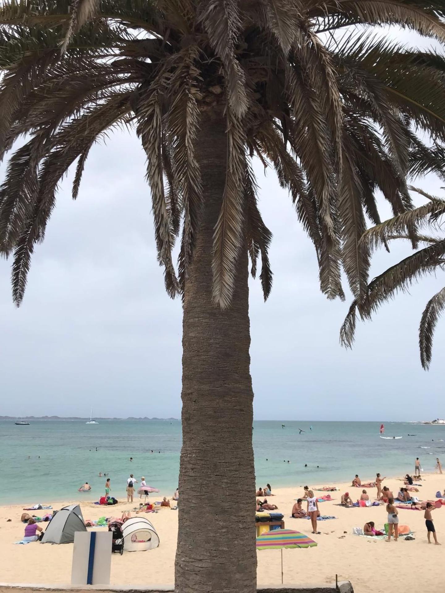 Relaxing and Welcoming Villa Corralejo Canaries