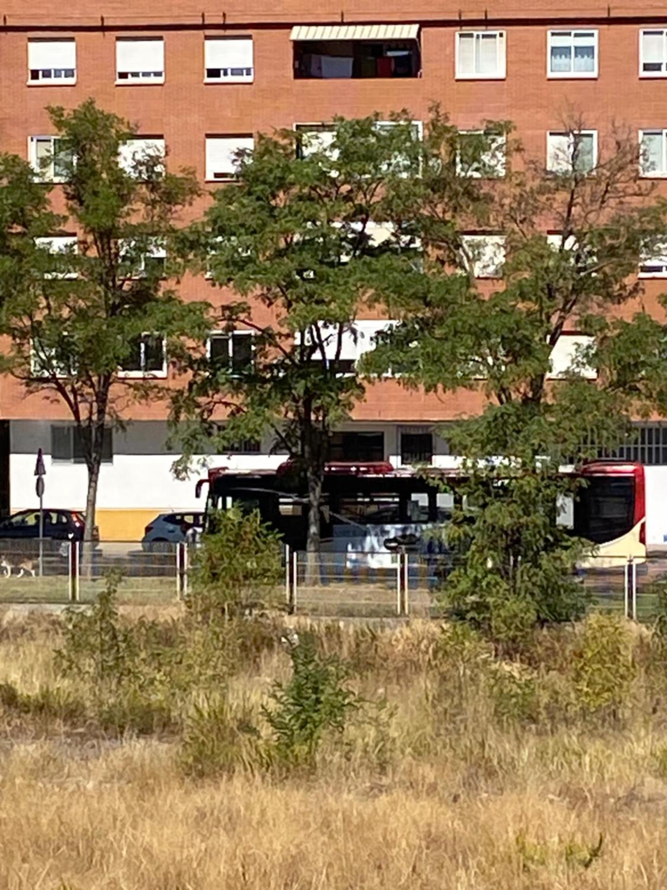 Photo 14