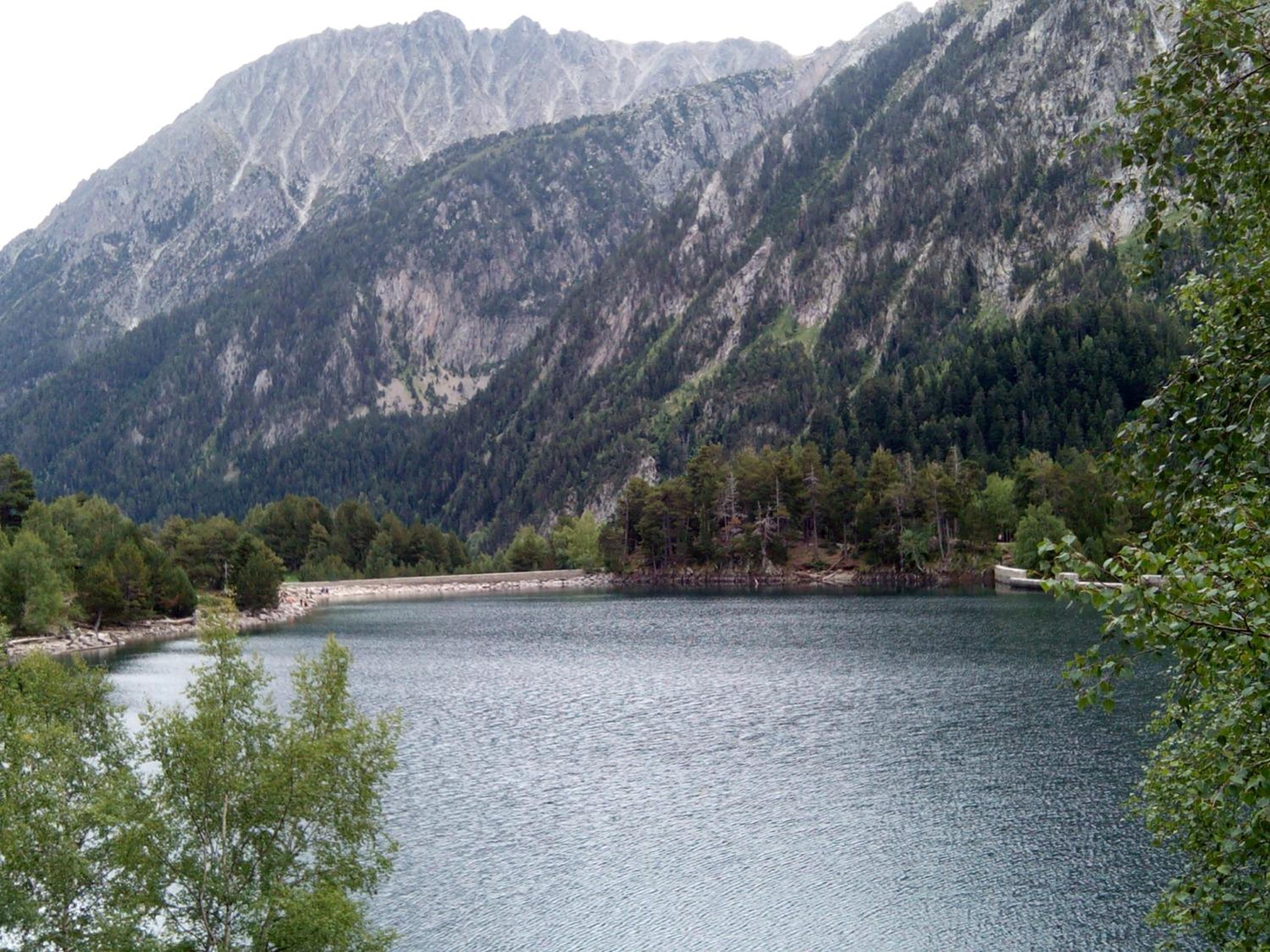 Photo 28