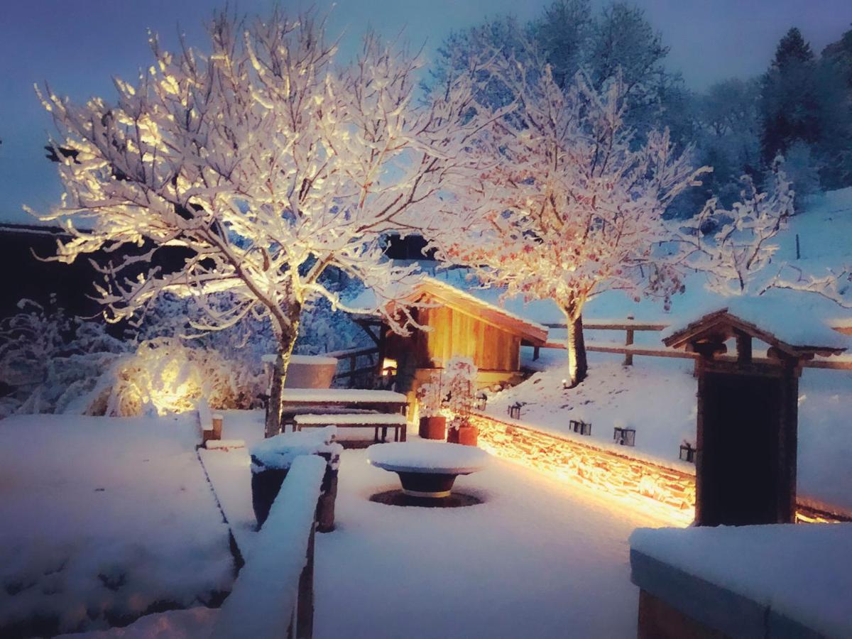 CHALET LES CERISES Jacuzzi, Sauna, Hammam, Cinéma