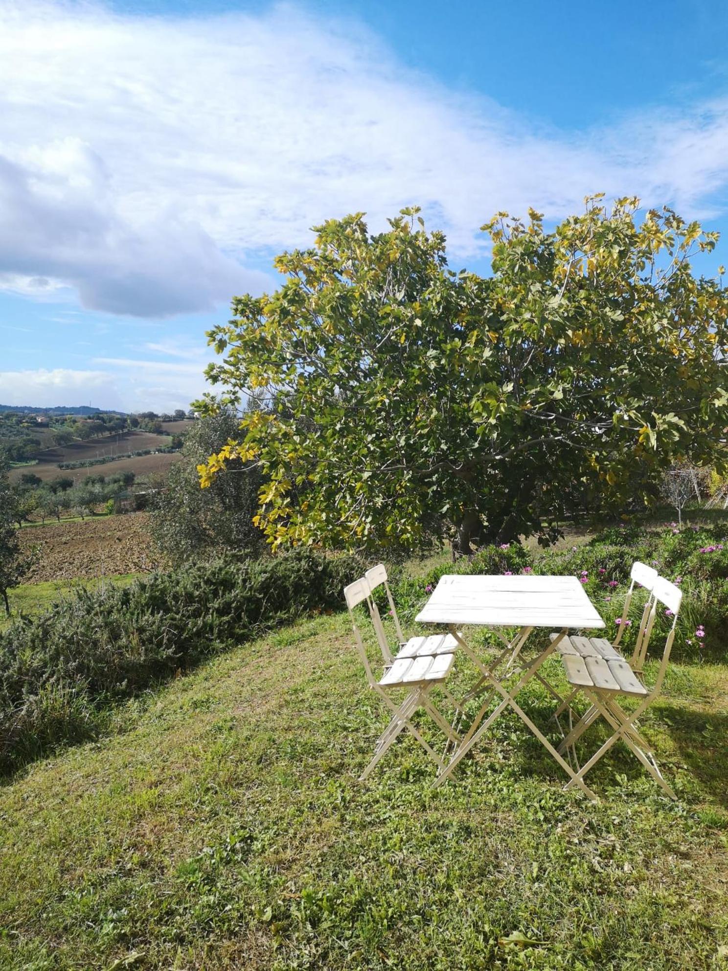 Agriturismo I Ciliegi Appartamento Ginestra view 5