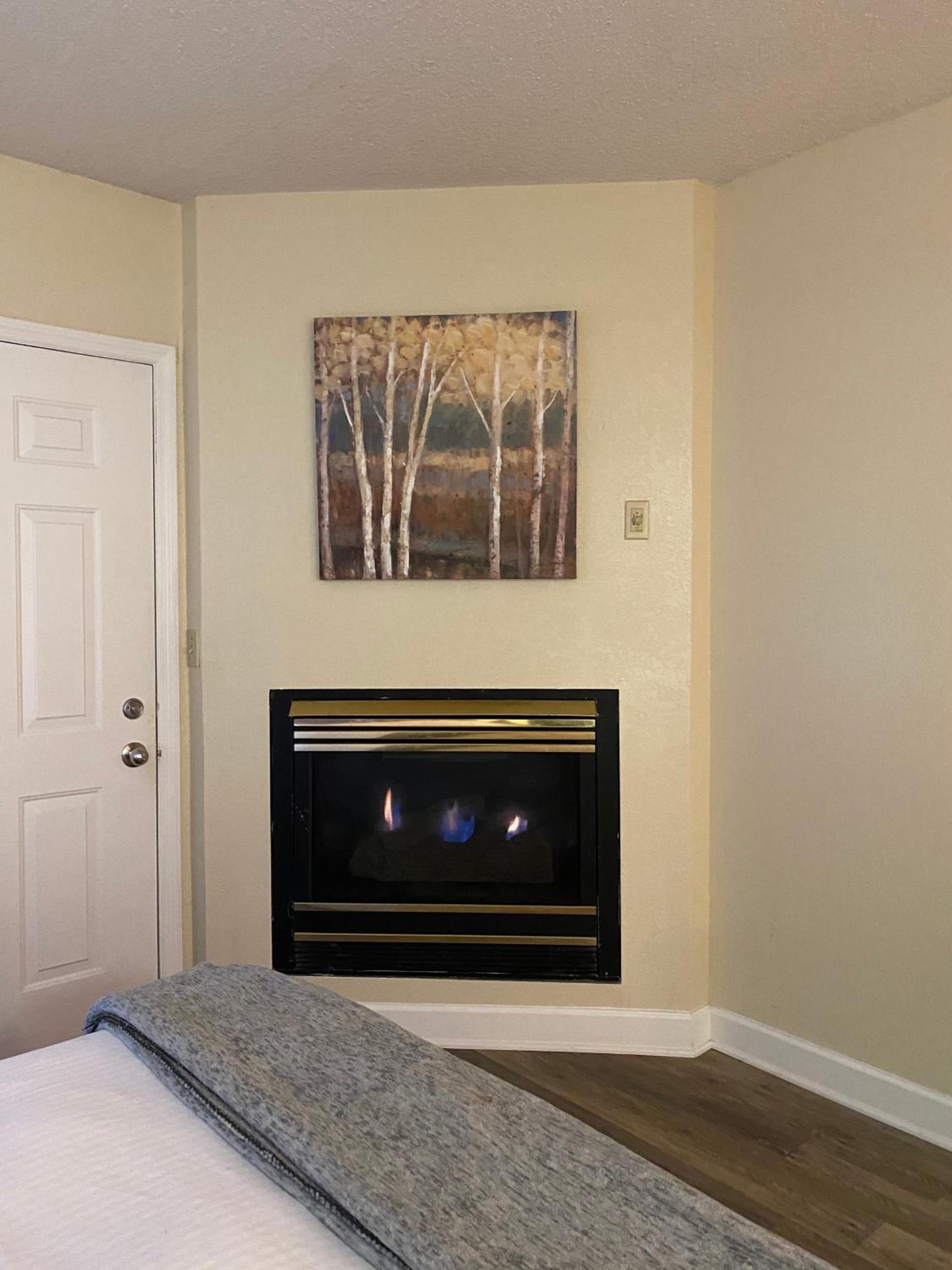 River Place Condos Riverside #209 view 4