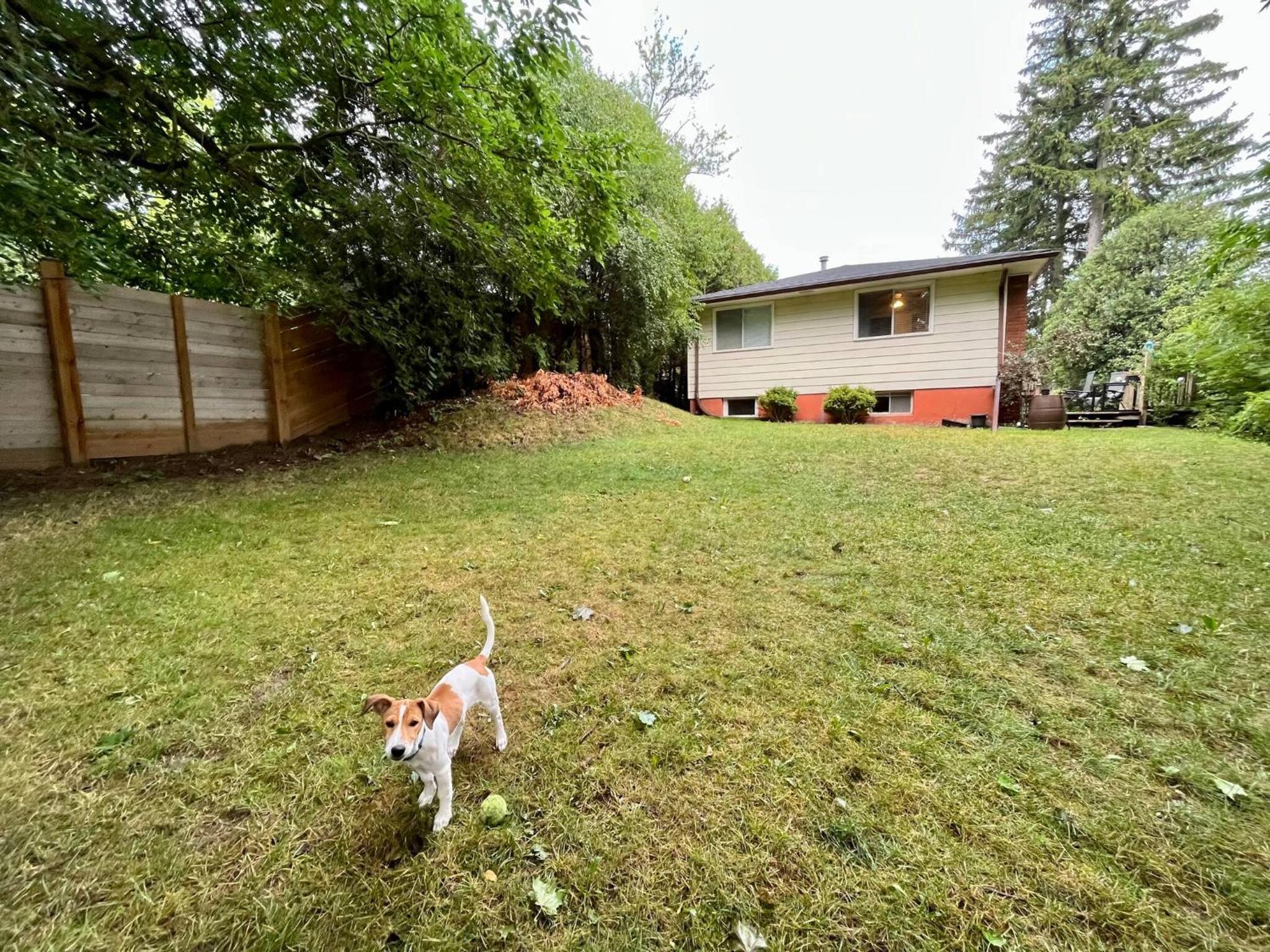 Cambridge Vacations - Adorable 1 Bedroom Suite With Kitchen Fireplace - Property Image 8