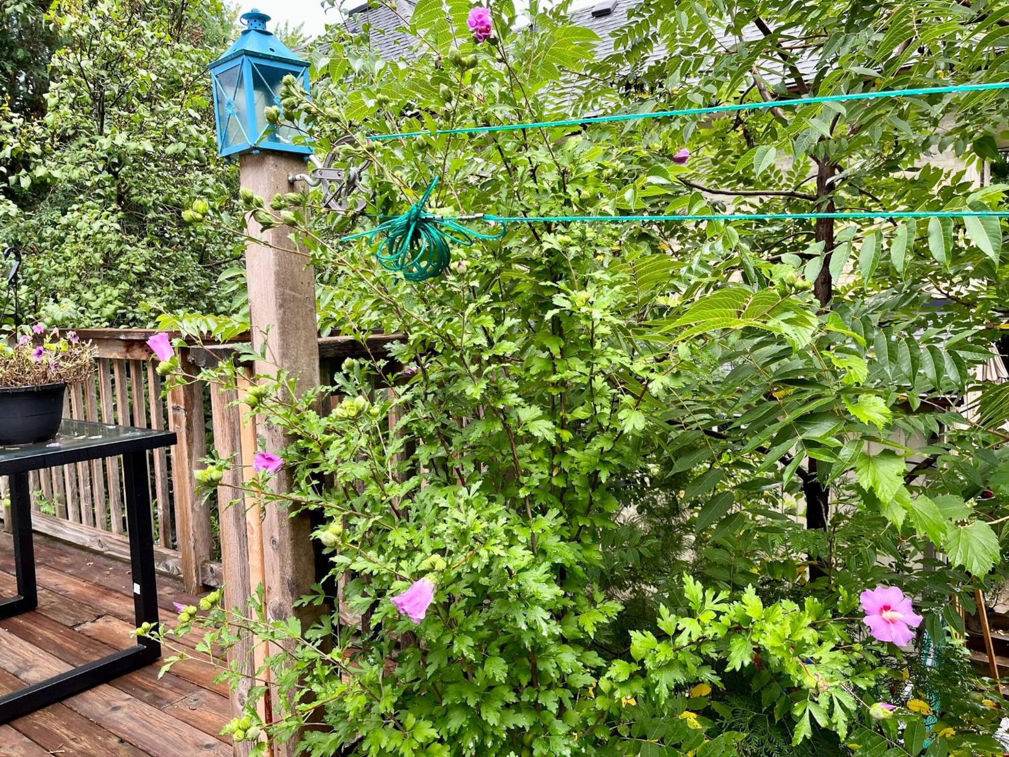 Cambridge Vacations - Adorable 1 Bedroom Suite With Kitchen Fireplace - Property Image 3