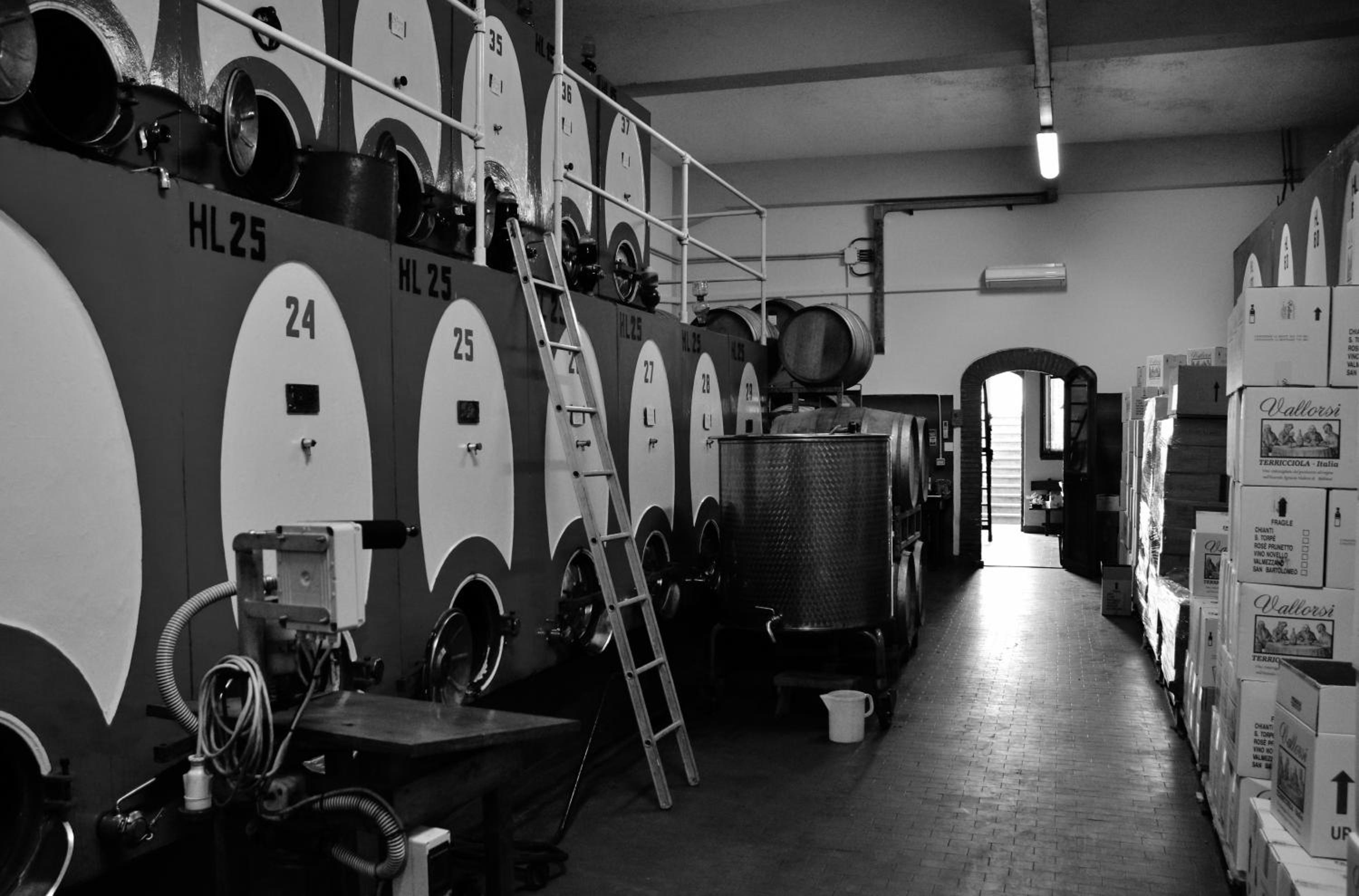 Azienda Agricola e Agriturismo Vallorsi