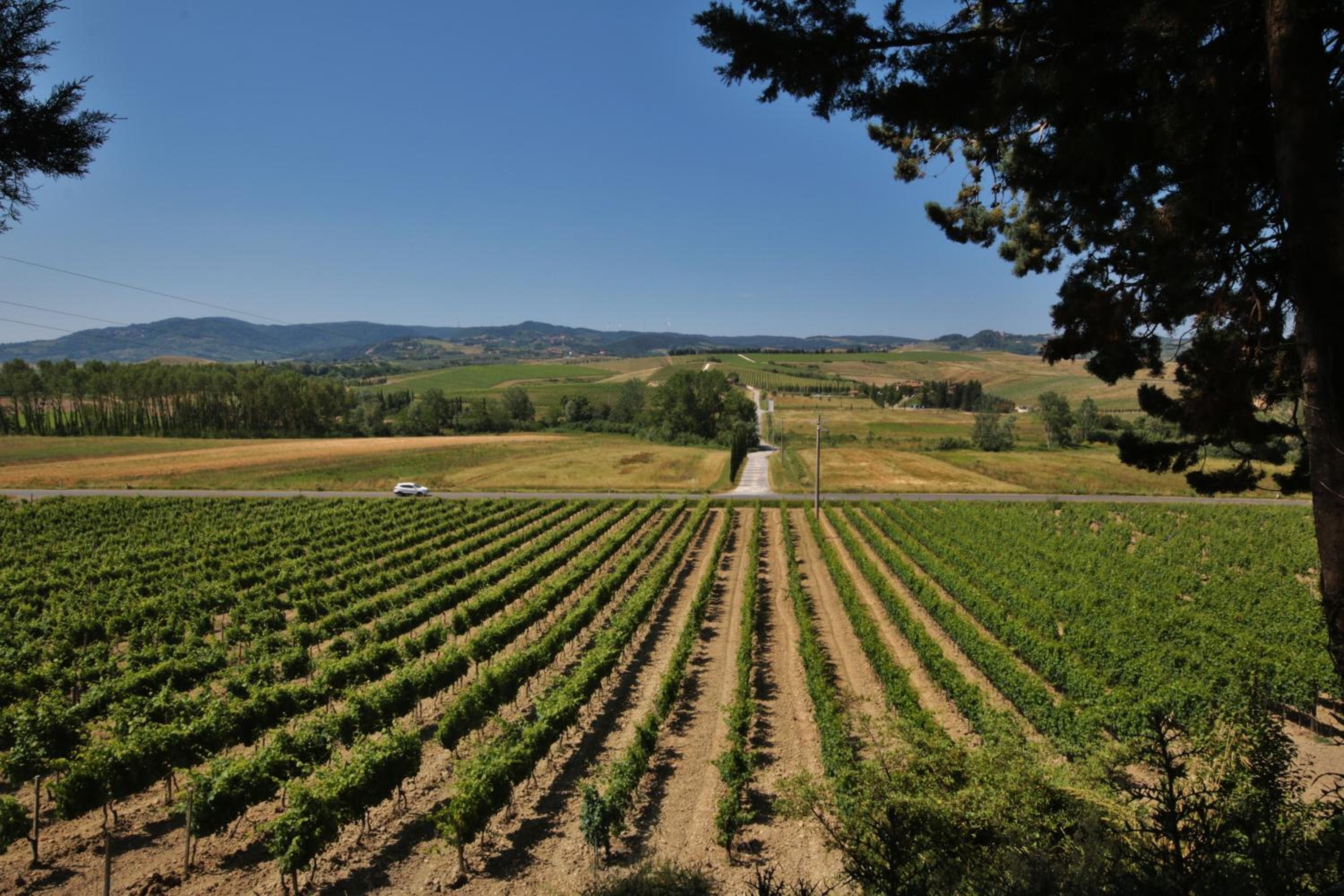 Azienda Agricola e Agriturismo Vallorsi