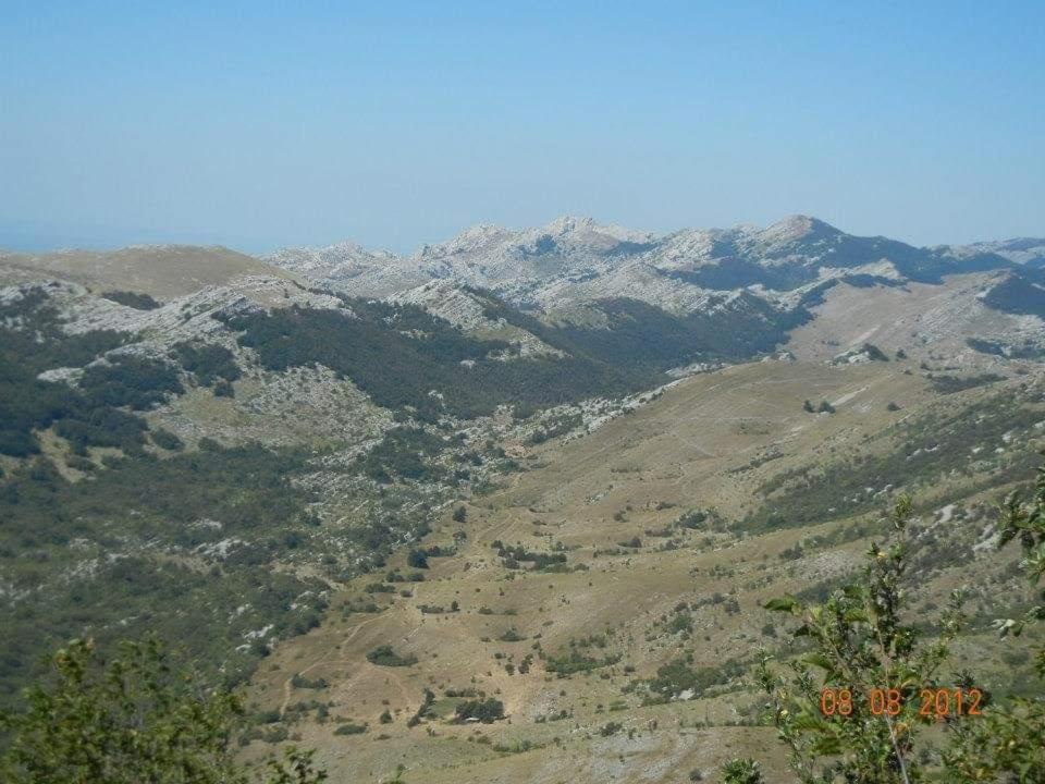 Photo 24