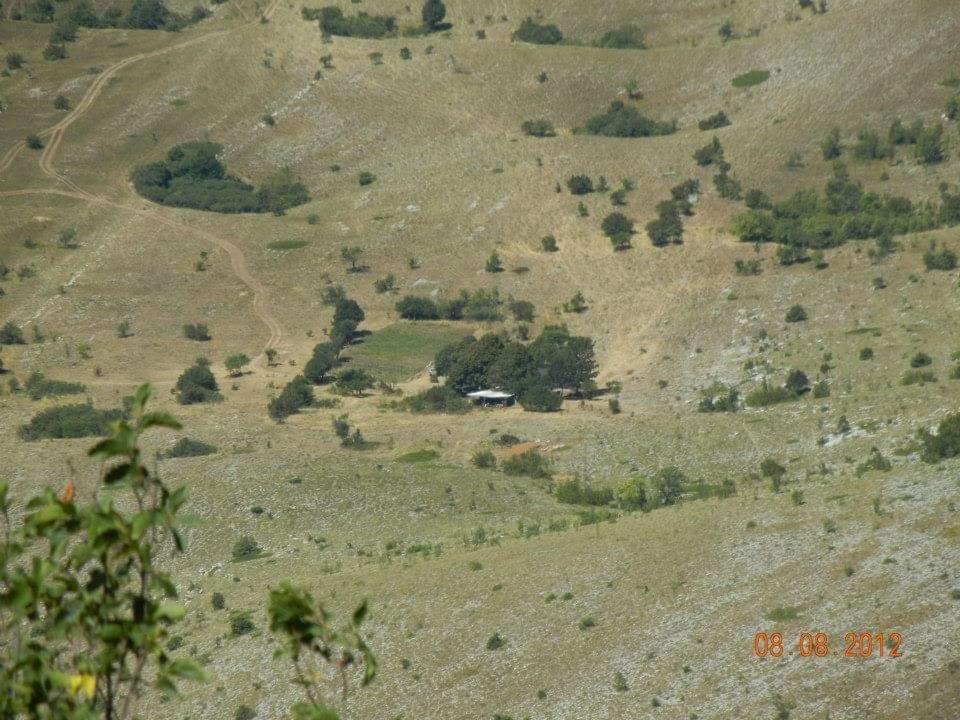 Photo 25