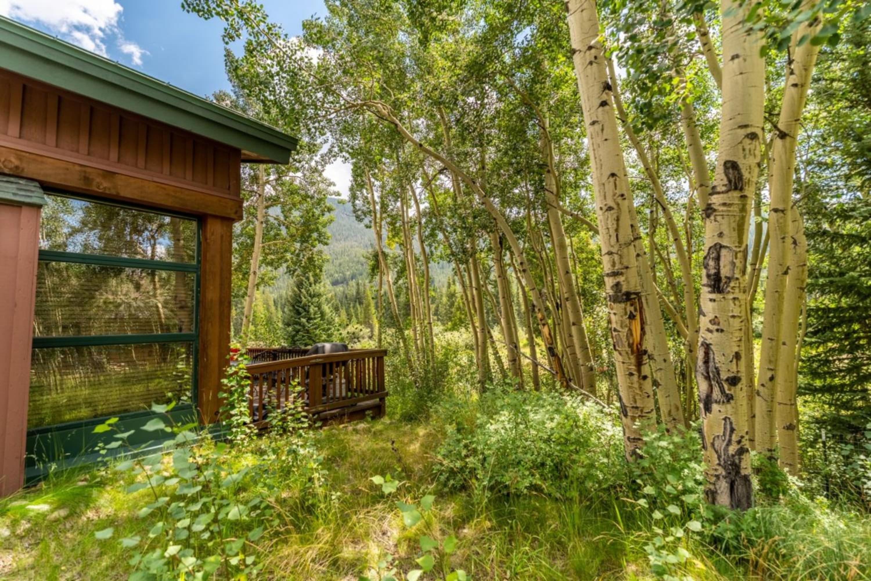 Photo 151