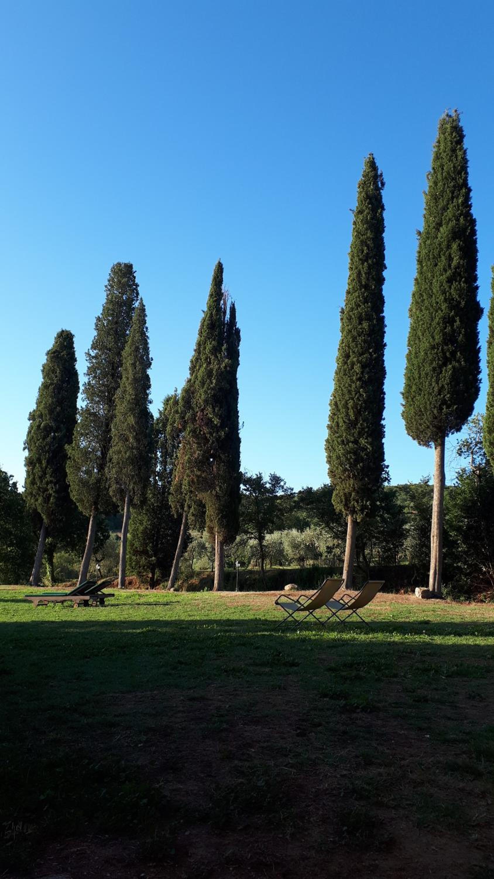 Podere Pievina Delle Corti - Dimora di Campagna
