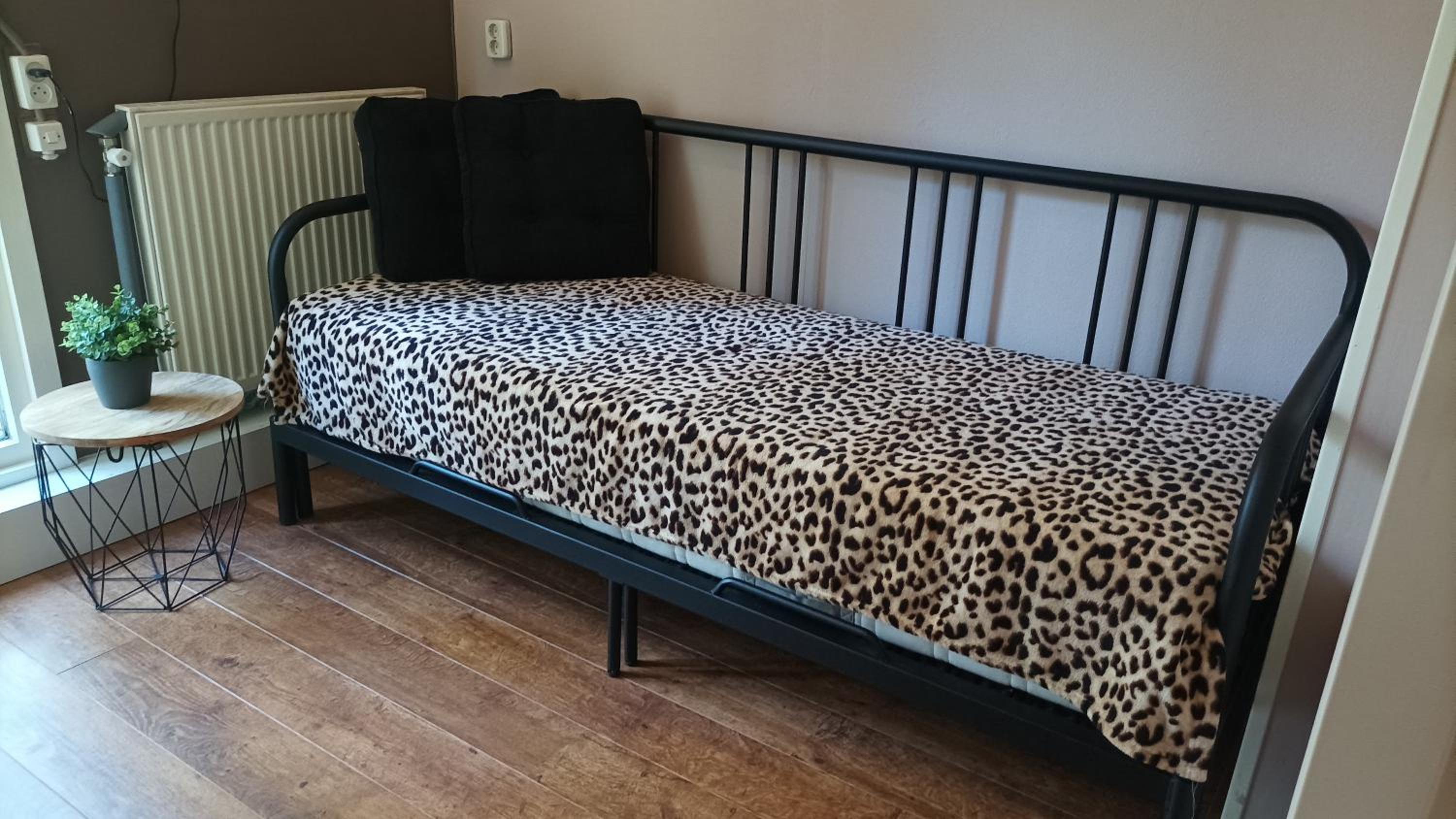 Photo 16