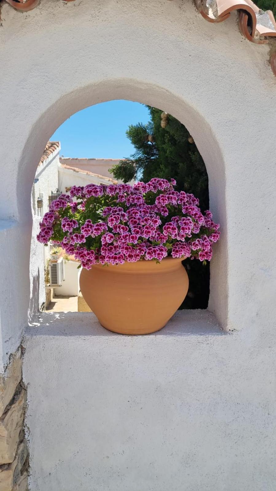 El Rincón de la Quinta view 3