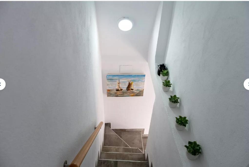 APARTAMENTOS LOLITALOLA HOLIDAYS
